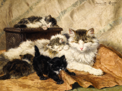 Henriette Ronner-Knip