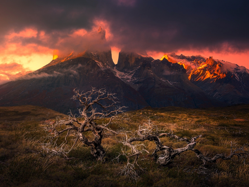 Национальный парк Torres del Paine