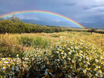 Rainbow Outside Leadville, Colorado