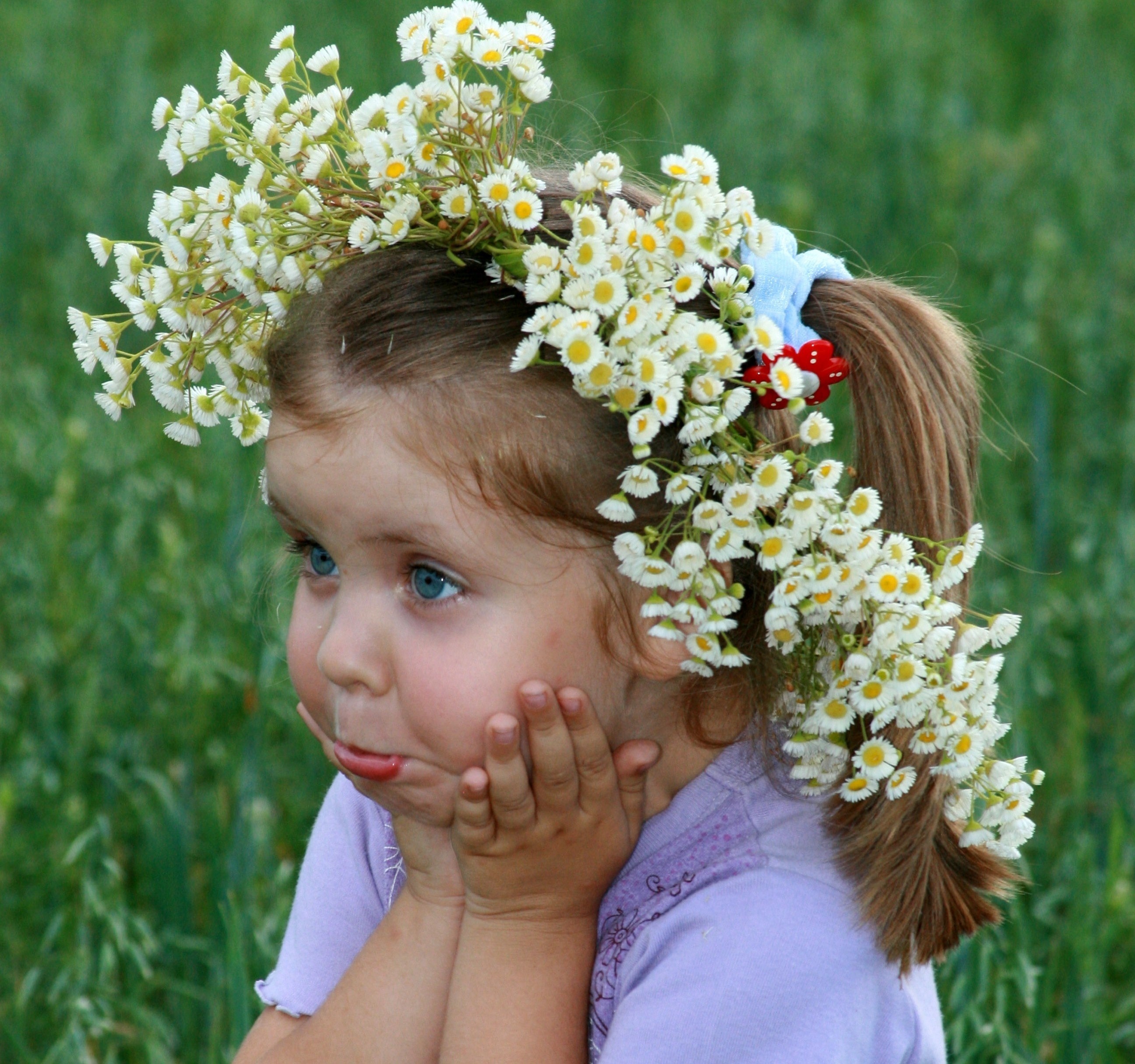 Матушка полевых цветов веночек. Девочка в венке из цветов. Венки из ромашек. Девочка с цветами. Девушка в венке из полевых цветов.