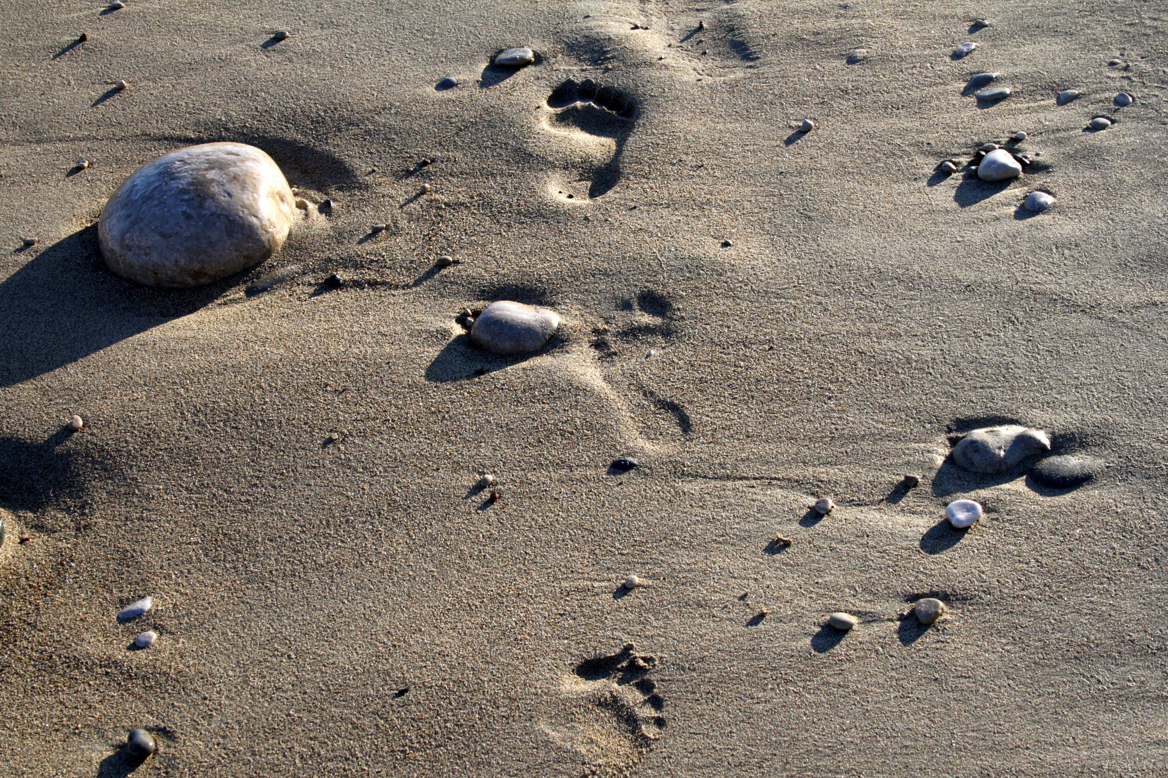 Усеянном гальками. Песок. Песок с Галькой. Пески пустыни. Бриллианты в песке.
