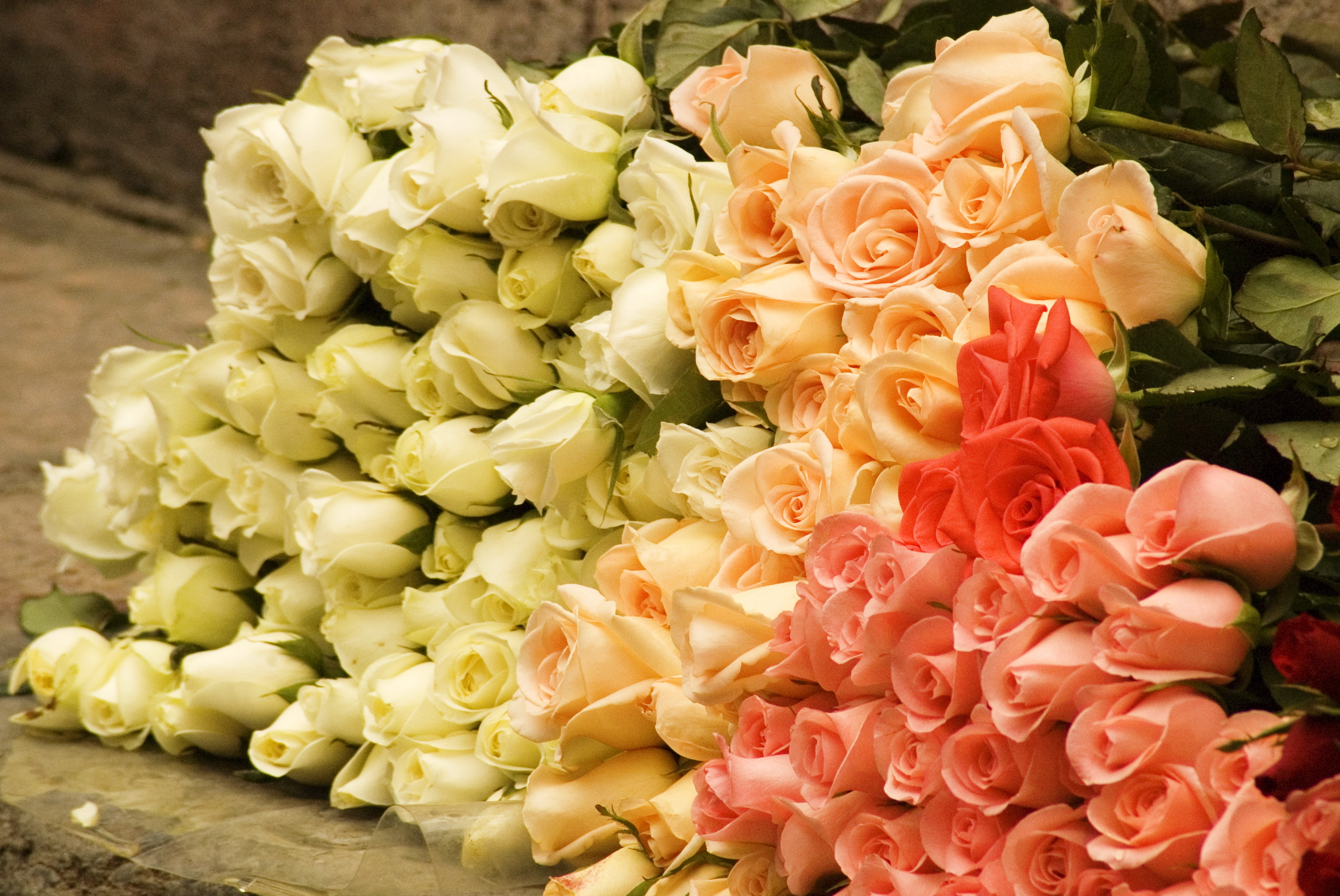 Букет цветов красивых роз фото красивые