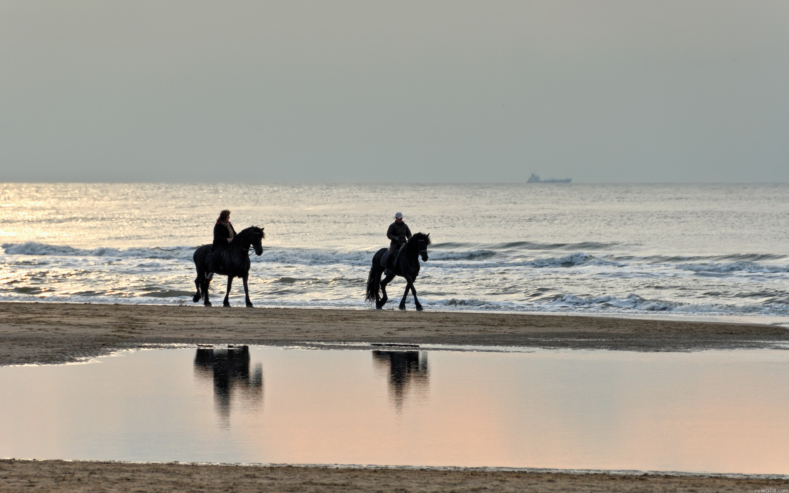 Шагаем с приятелем по берегу койвы. Лошади и море. Лошадь на берегу моря. Конная прогулка по берегу моря. Конь Бегущий по берегу моря.