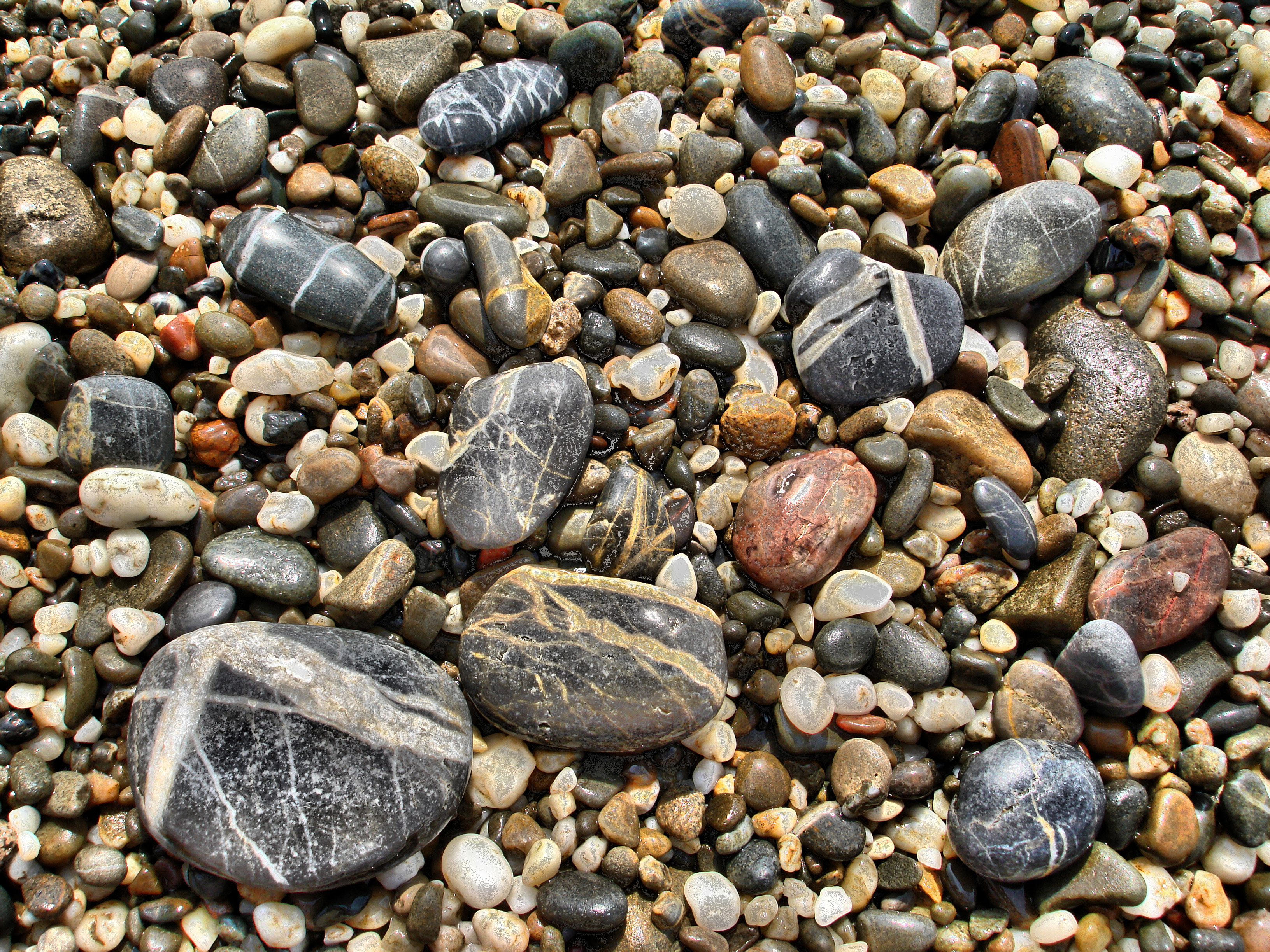 Галька виды. Речные камни. Камни морская галька. Прибрежная галька. Речные камушки.
