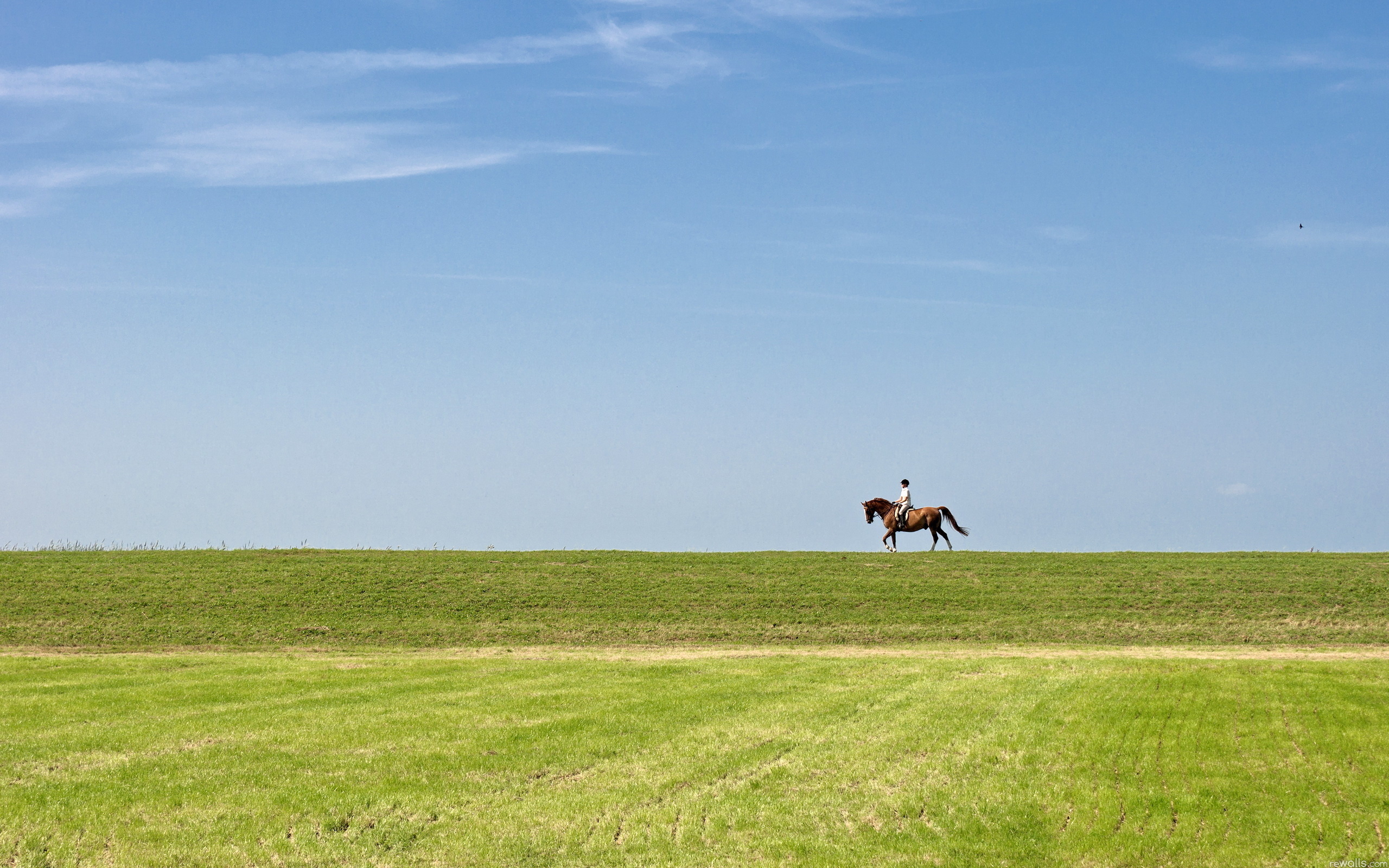 Перехваченная цепью холмов. Лошадь в поле. Степь панорама. Всадник в степи. Лошадь на горизонте.