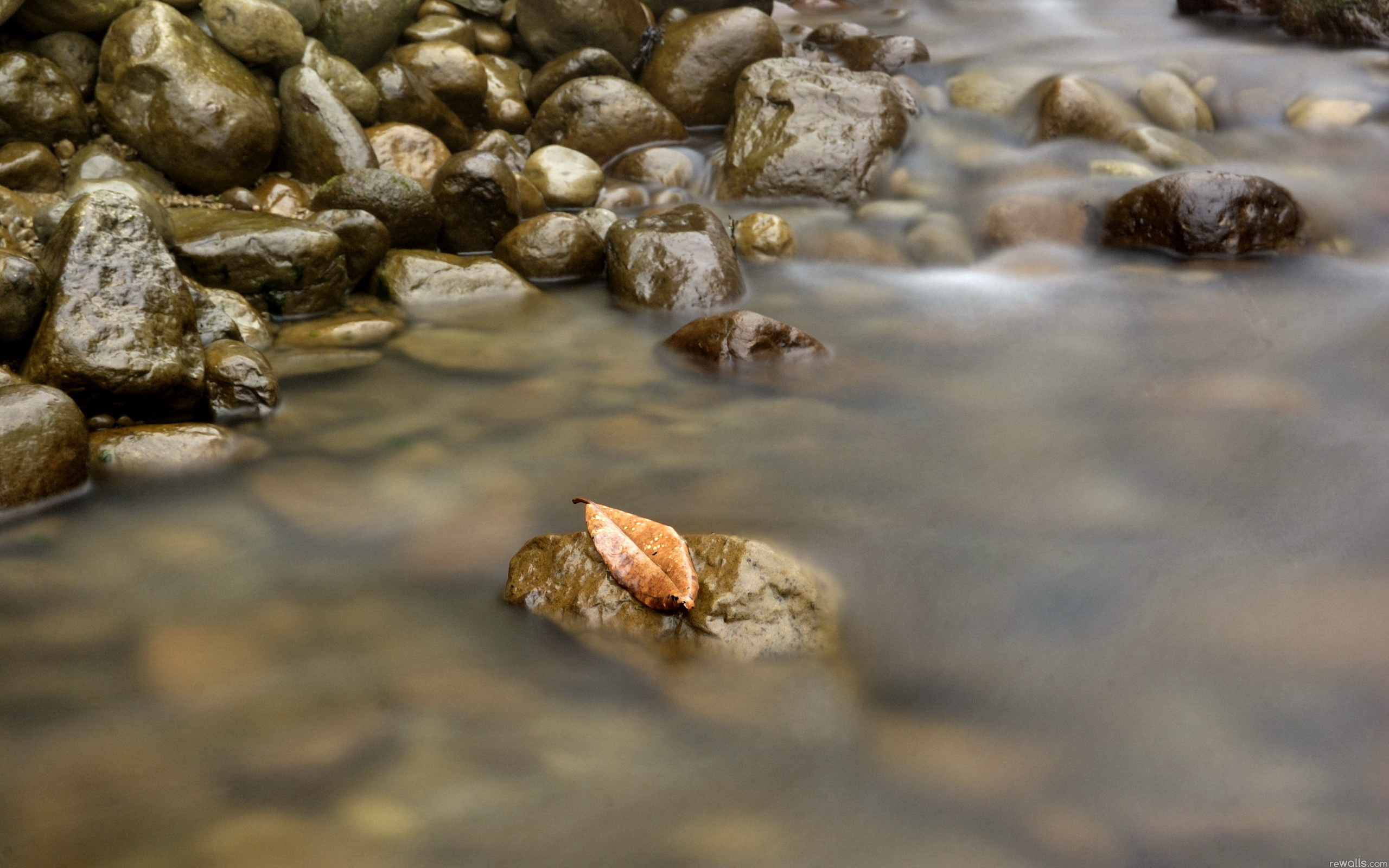 Пошла вода на камень. Вода среди камней. Прозрачная вода. Камни в воде. Ручей среди камней.