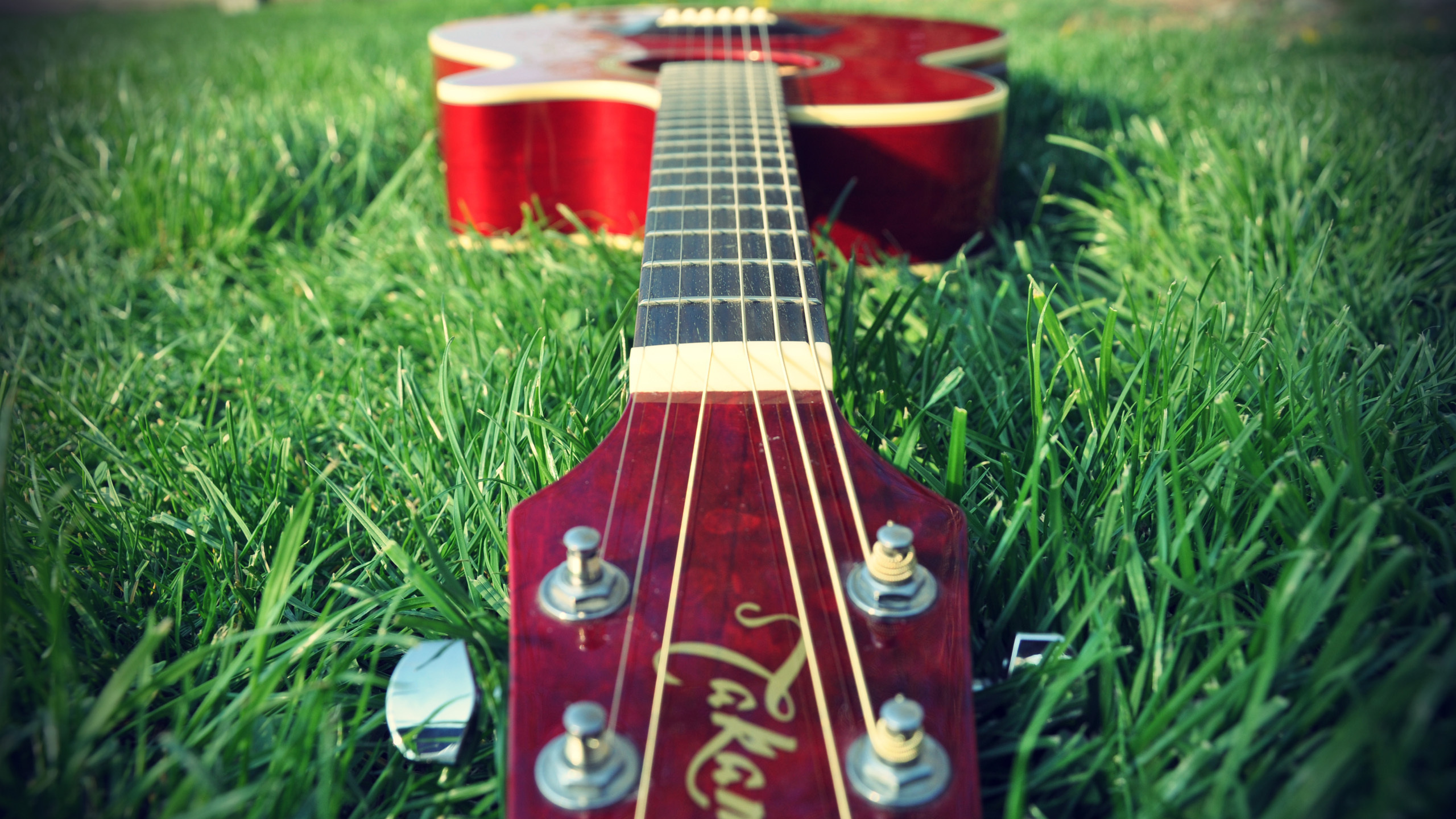 Сыграть на гитаре в траве. Гитары. Электрогитара на природе. Гитара на природе. Гитара фон.