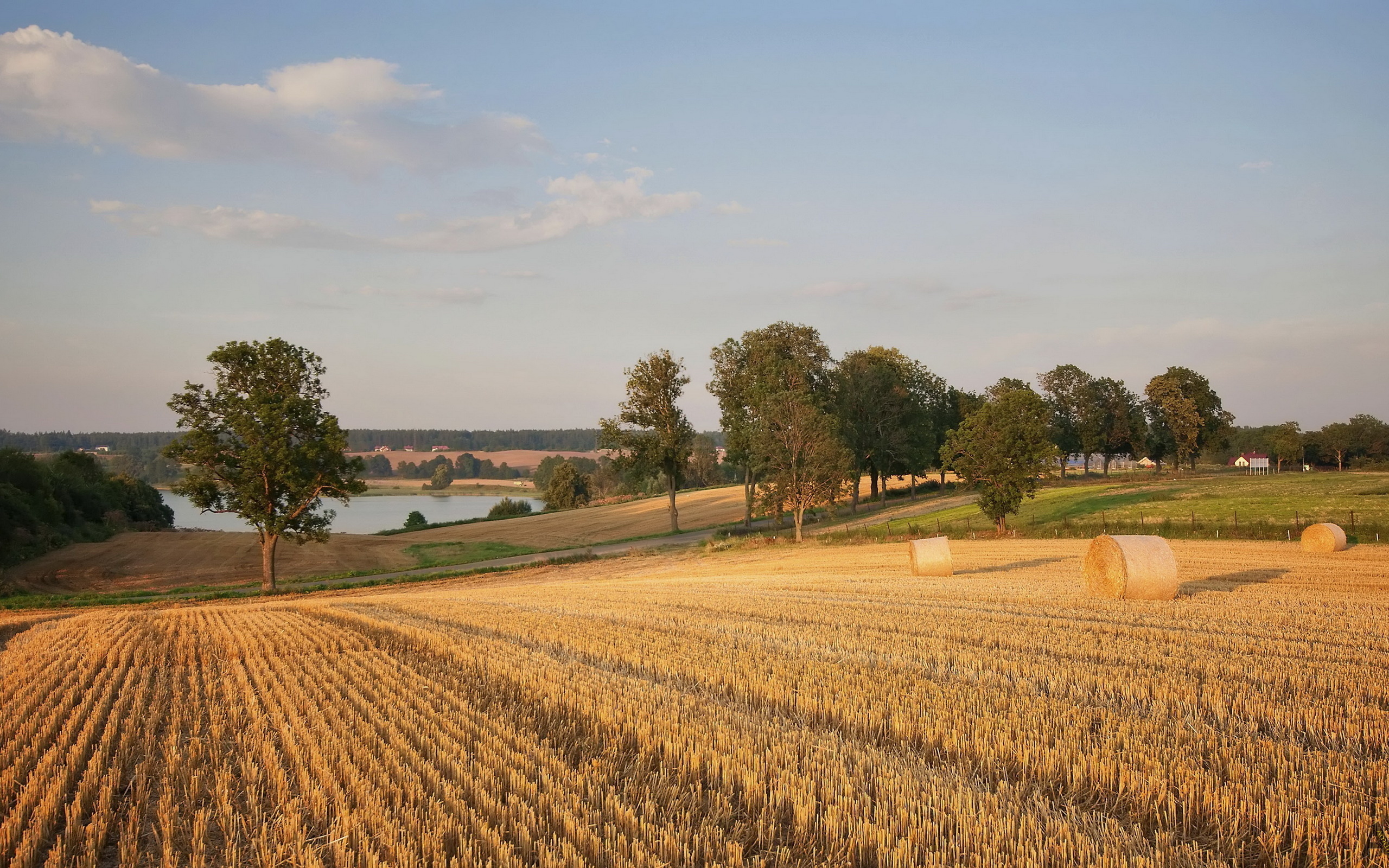 Село пшеничное