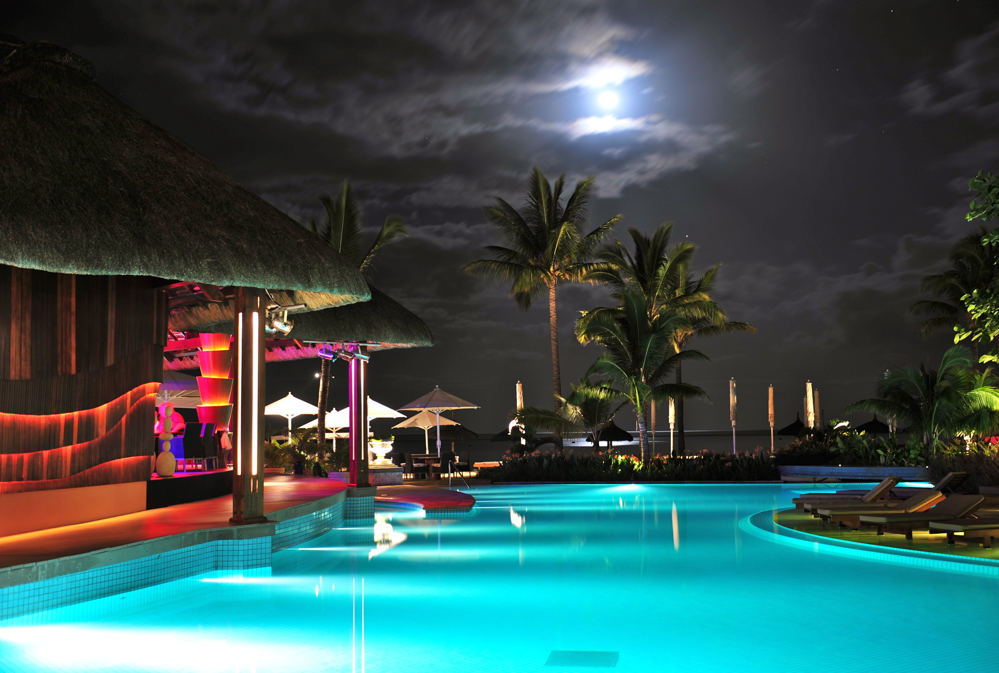 Luxury moon. Бунгало на Мальдивах. Бассейн с пальмами. Море бассейн пальмы. Дом бассейн пальмы.