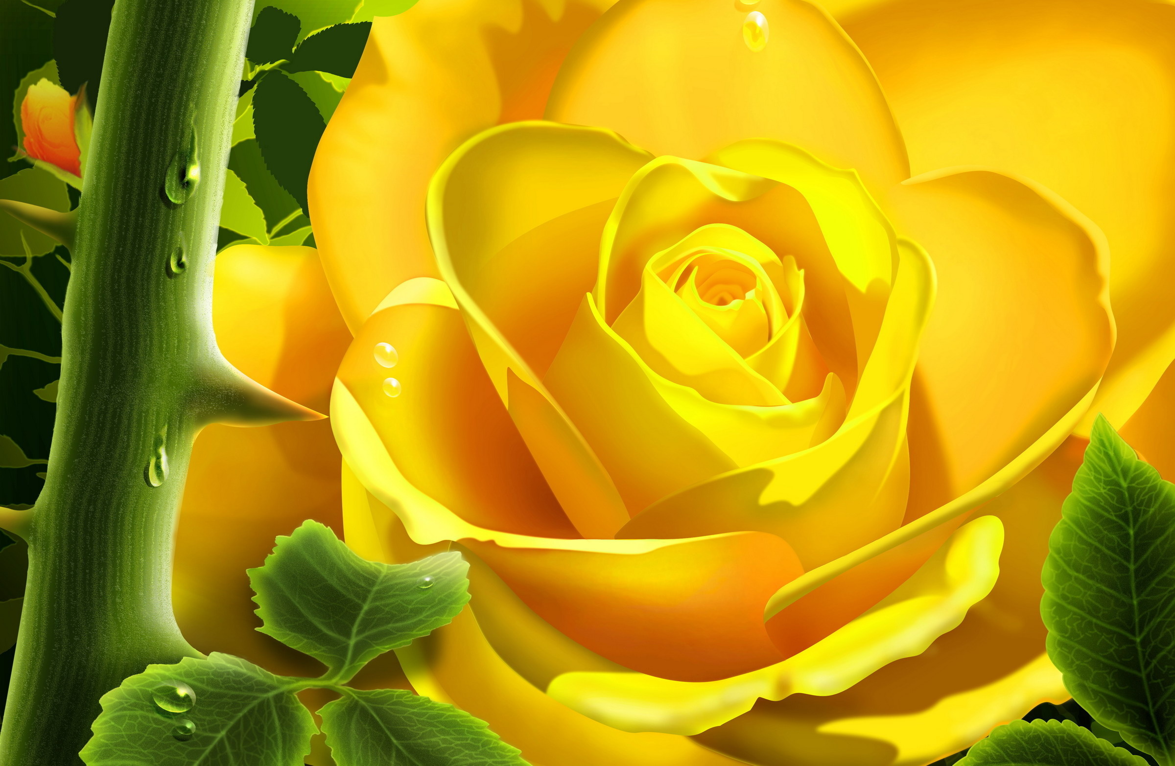 Желто розовая картинка. Еллоу Флауэрс. Жёлтый цветок. Красивый желтый цвет. Желтые розы.