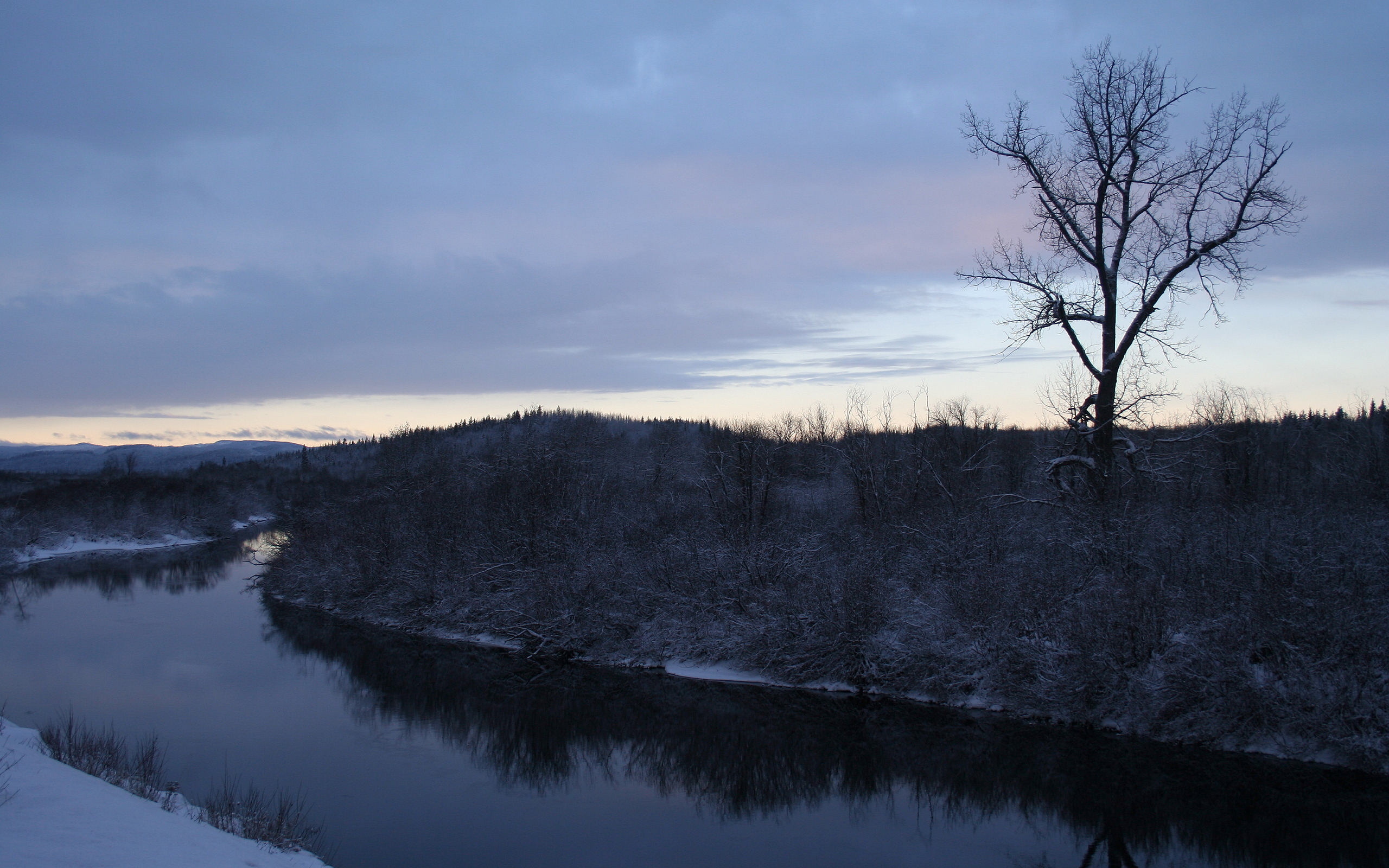 Какая речка холодно. Холодная река. Берег реки зимой. Река Припять зимой. Замерзшая река картинки.