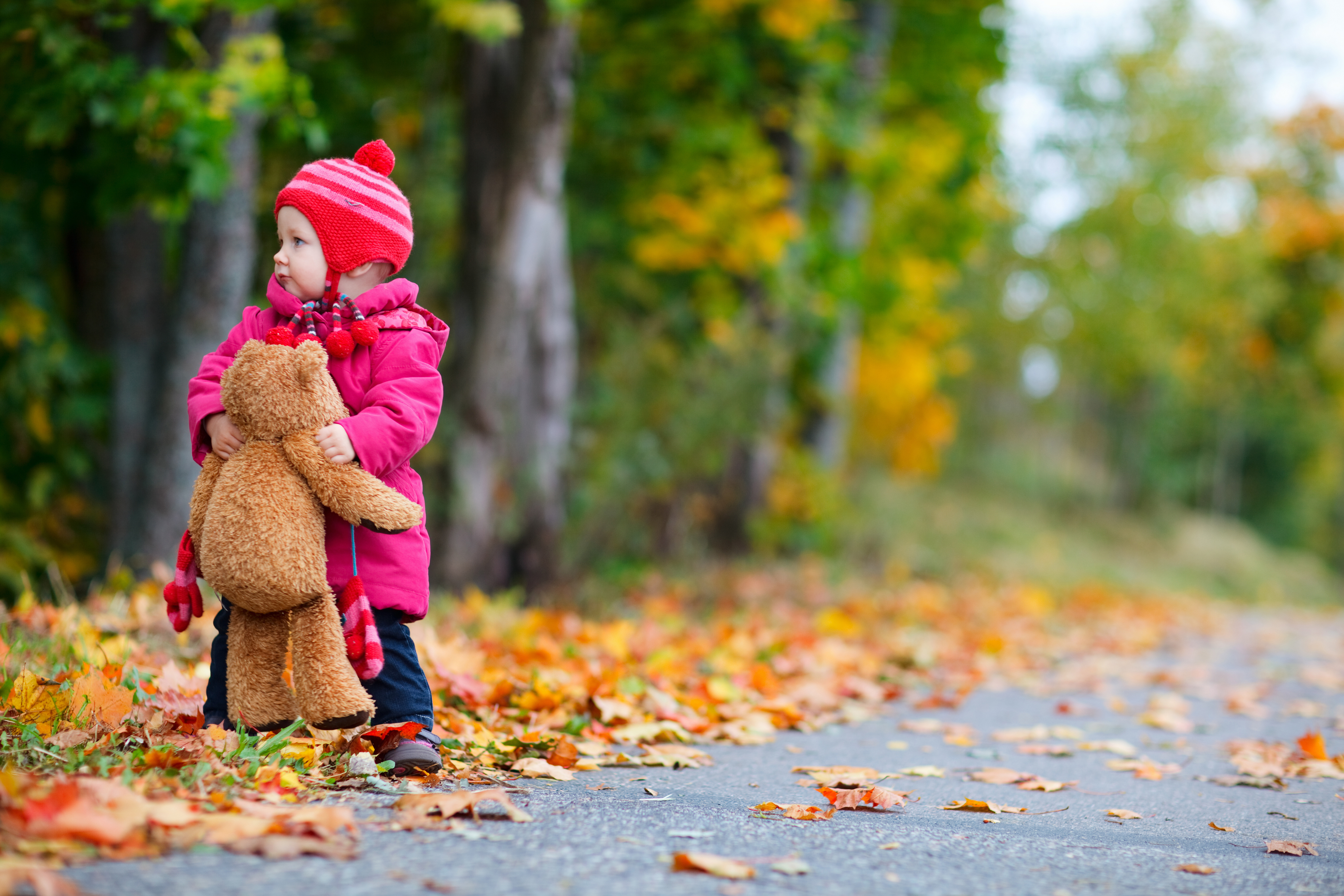 Гуляла девочка в лесу. Осень для детей. Осенняя прогулка. Осенняя фотосессия. Осенние прогулки с детьми.