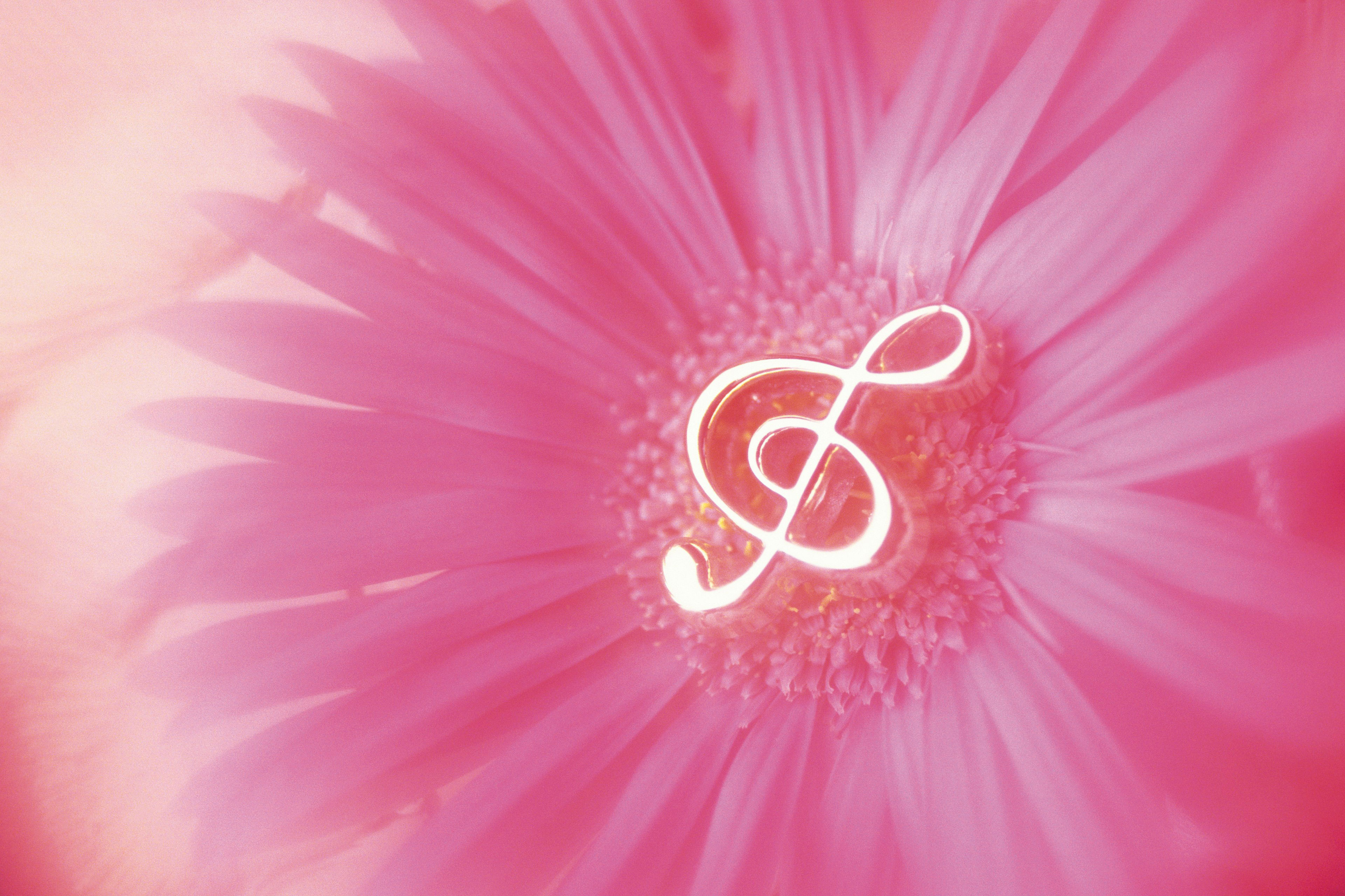 Нежная музыка для здоровья. Музыкальный фон. Розовые цветы фон. Ноты на розовом фоне. Красивый музыкальный фон.