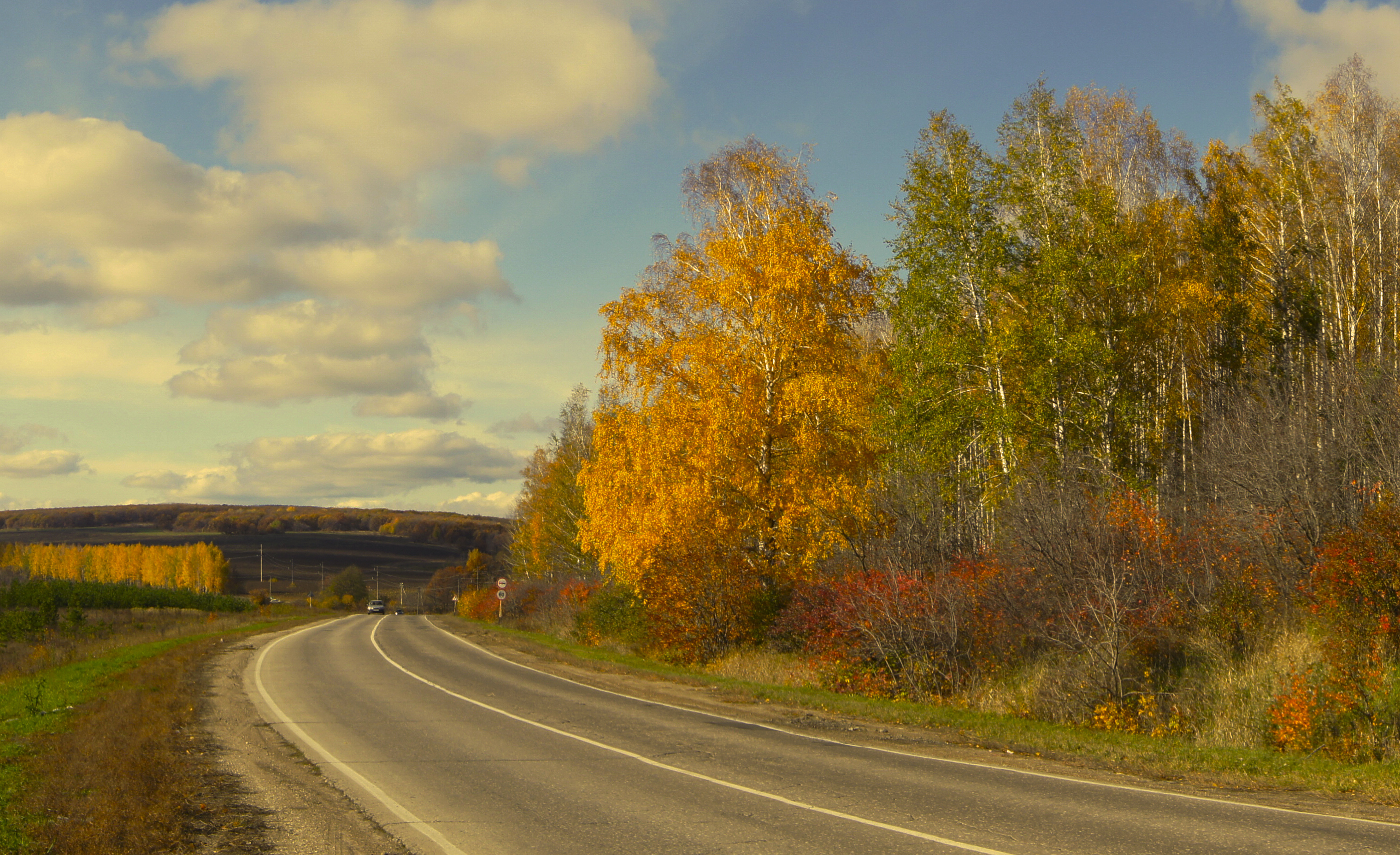 Даль какая подобрать. Осенняя дорога. Дорога в осень. Сельская осенняя дорога. Осенняя дорога уходящая в даль.