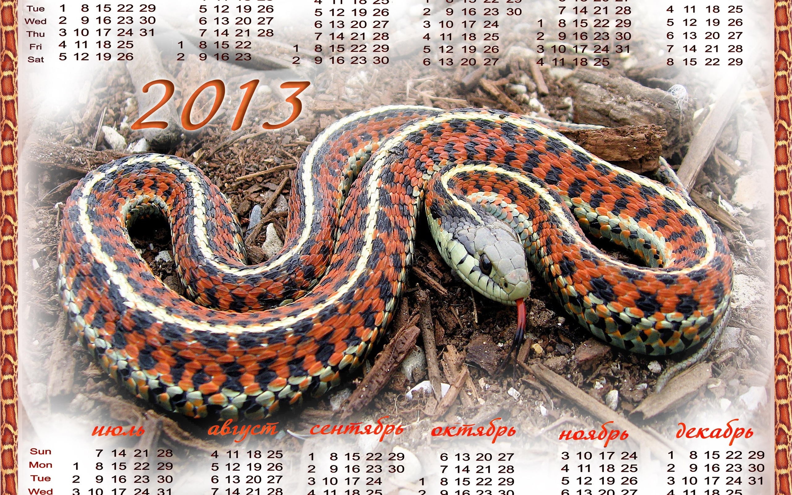 Следующий год змеи. Календарь змеи. Календарь 2013 год змеи. Календарь со змеей. Когда будет год змеи.