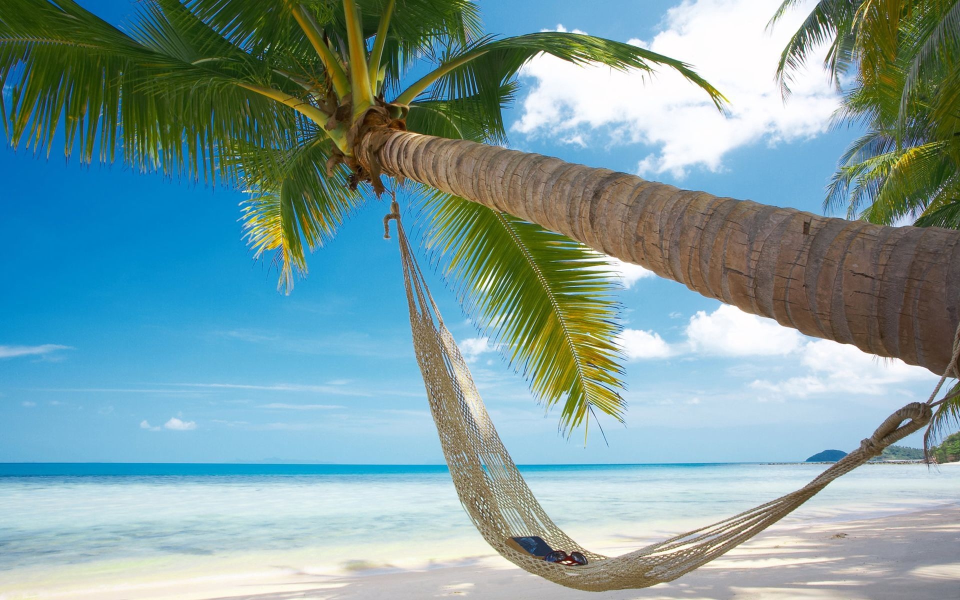 Beach tree. Доминикана Саона пальмы. Пляж Баунти Доминикана. Кайо Коко рай пальмы. Реклама Баунти на острове Саона.