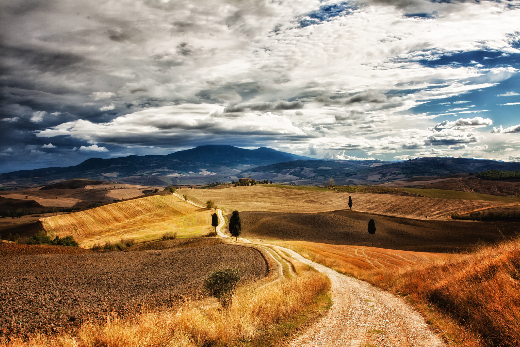 Пейзаж в даль. Италия Тоскана дорога. Проселочная дорога Тоскана. Тоскана пшеничные поля. Холмистая равнина Тоскана.