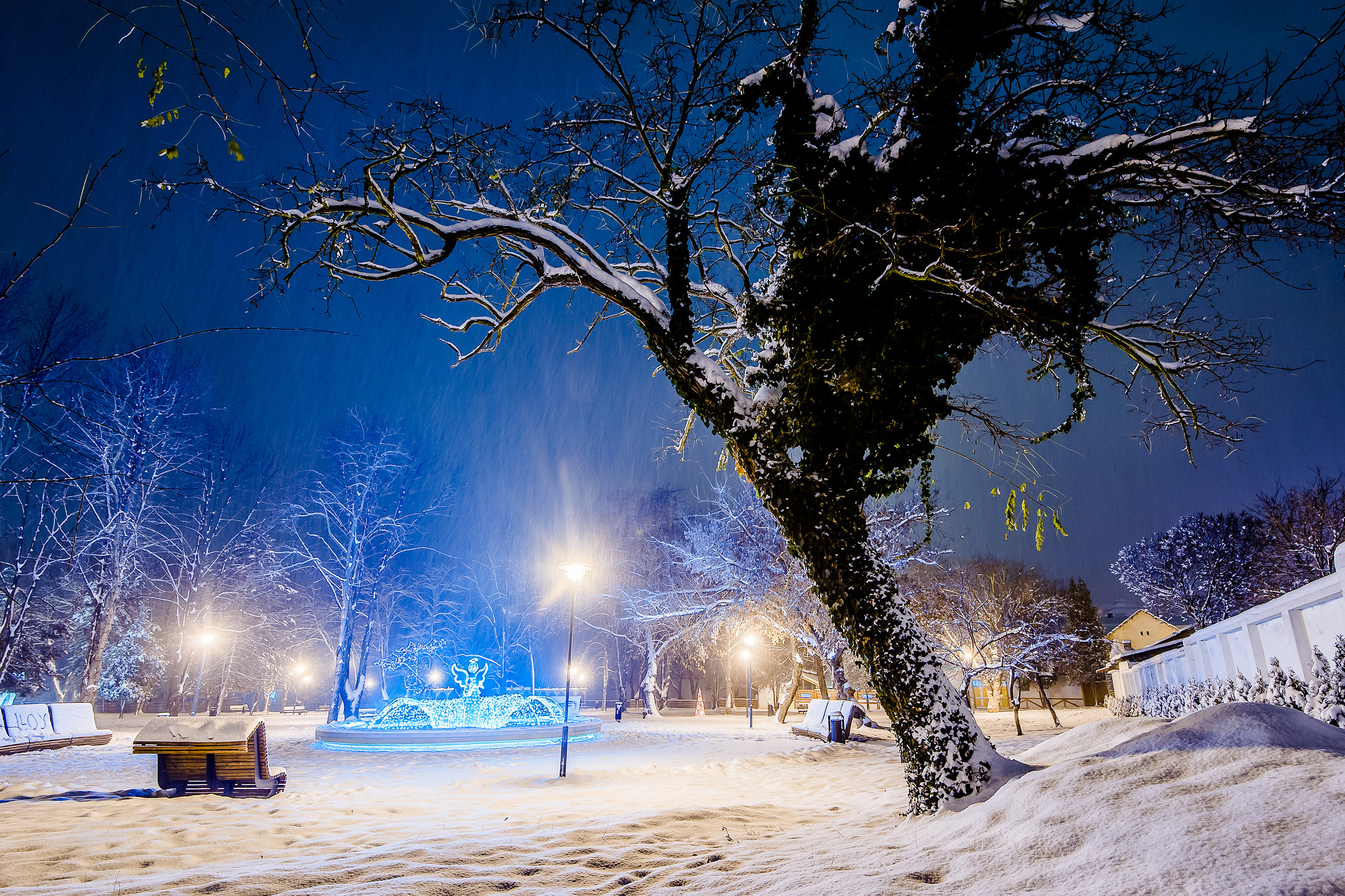 Город снег вечер. Зимний парк. Зимний парк ночью. Зимний Вечерний парк. Заснеженный парк вечером.