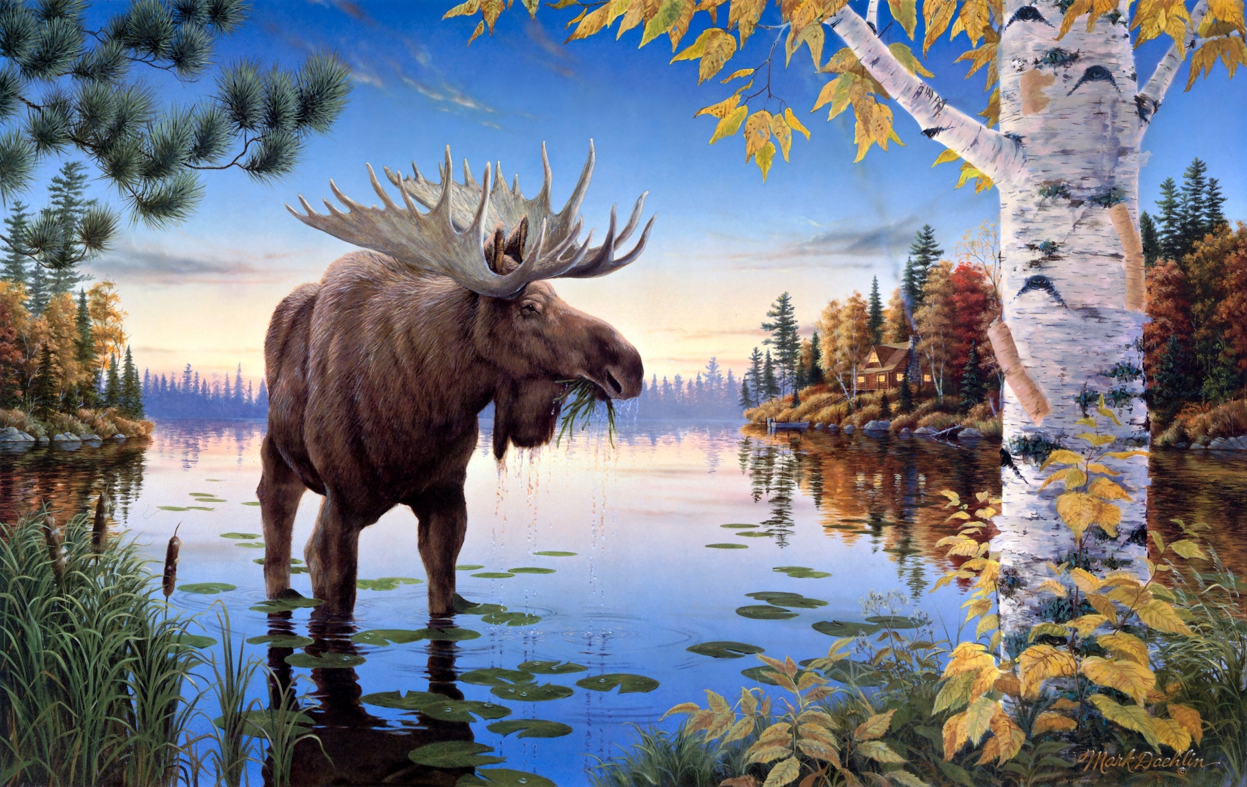 Лось на телефон. Mark Daehlin картины. Живопись зима Mark Daehlin. Картина природа. Пейзаж с животным.