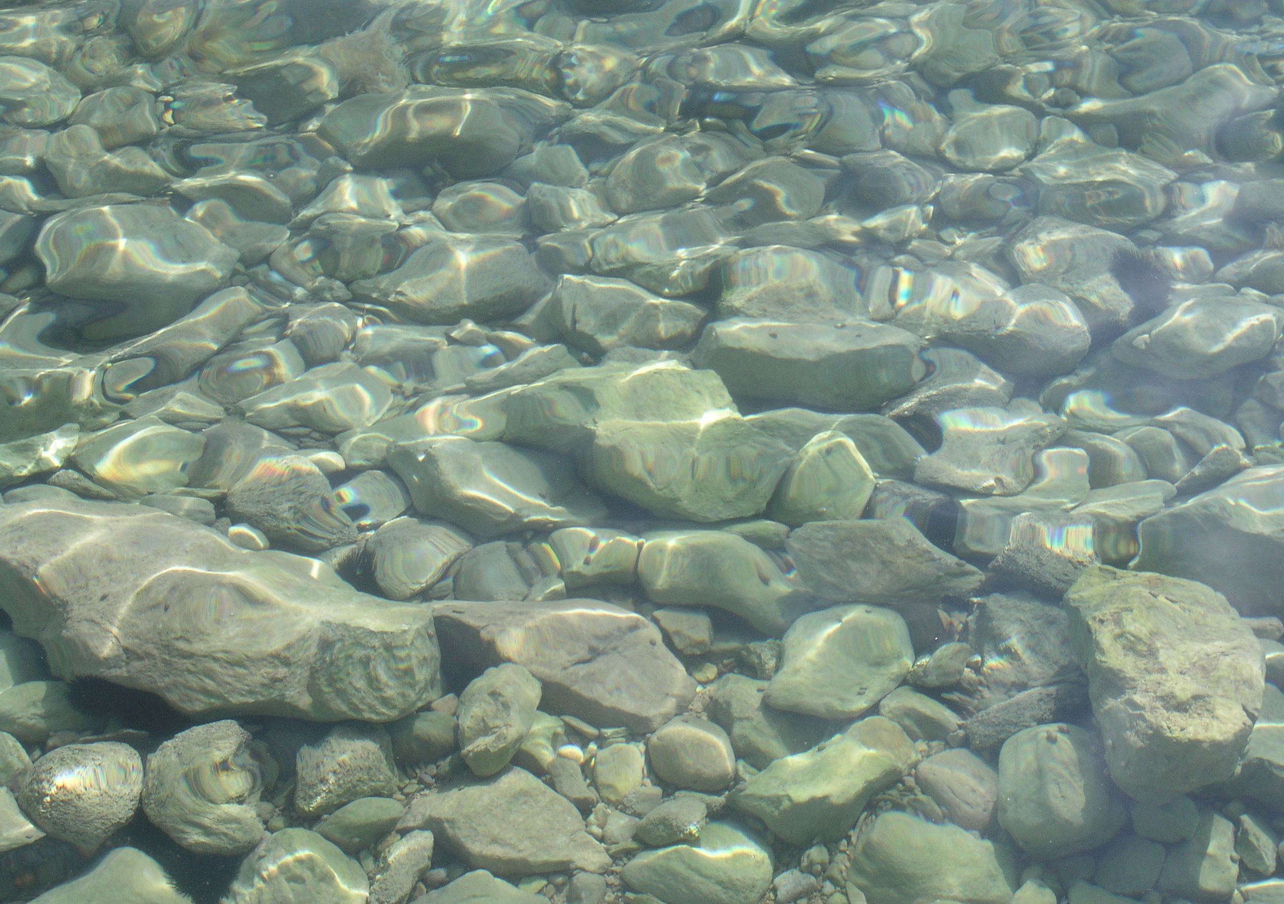 Камни вода рыбы. Речное дно. Каменистое дно. Каменистое дно реки. Прозрачная вода.