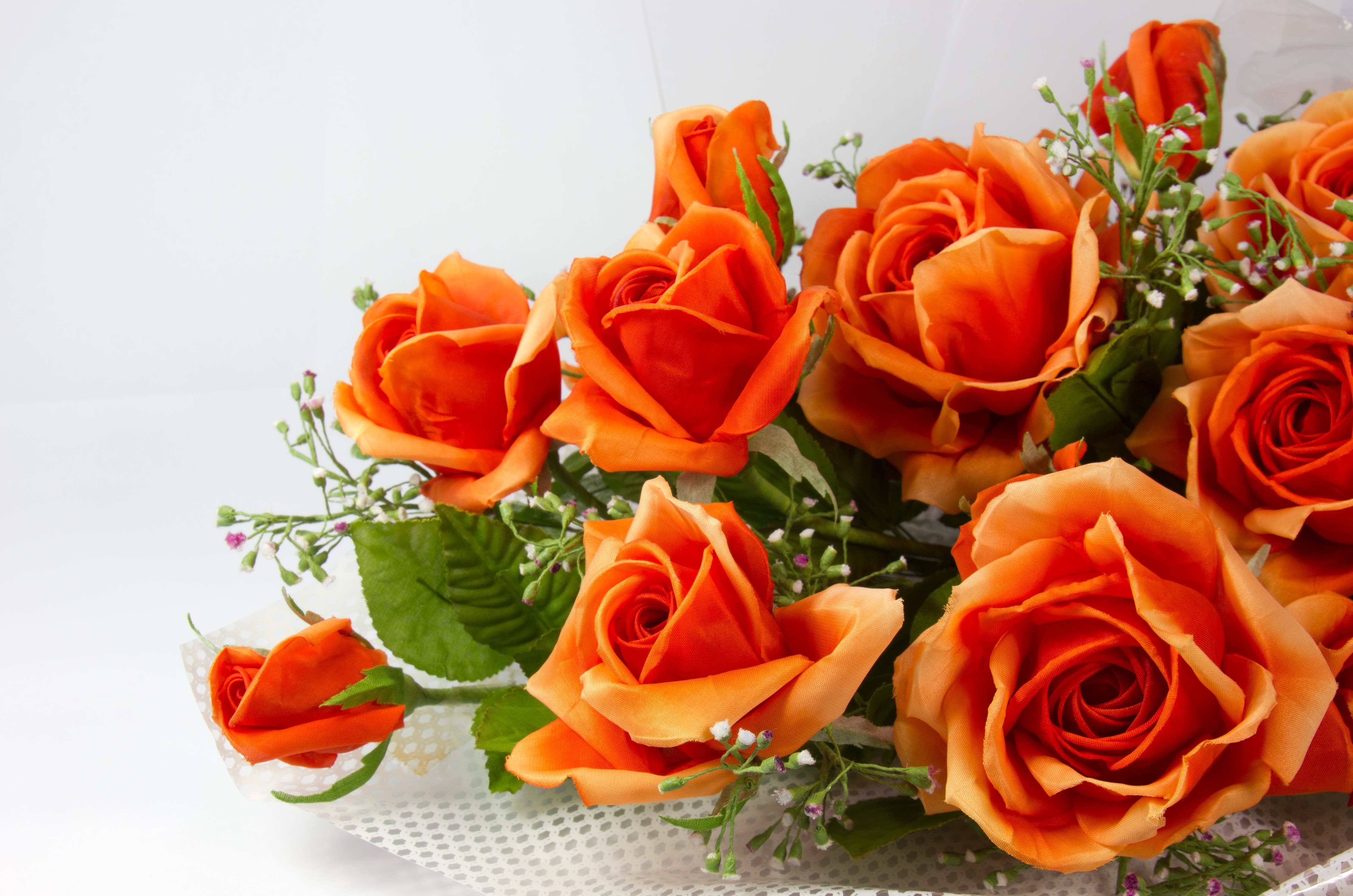 Длинные оранжевые розы