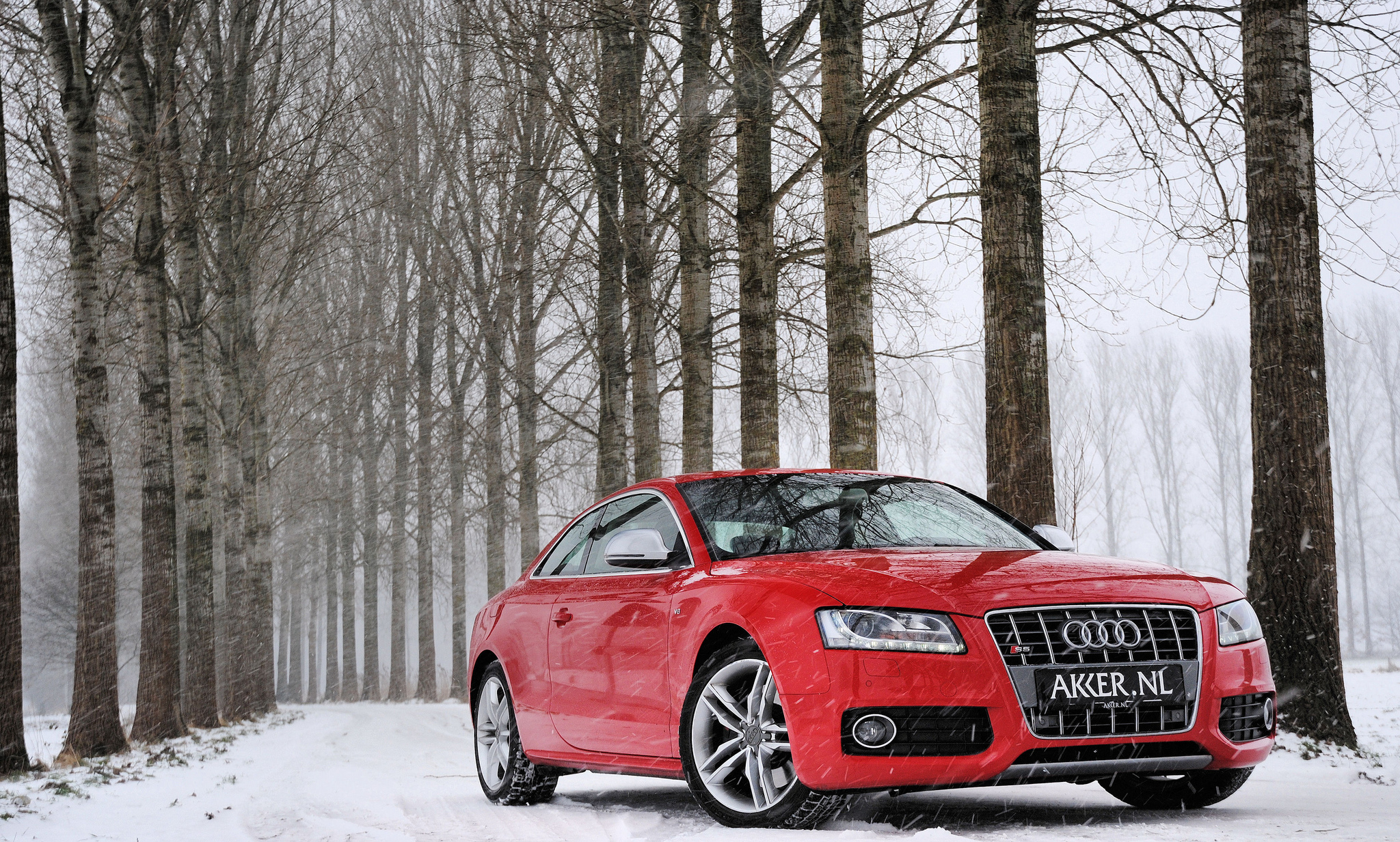 Ауди сток. Audi a5 Red. Ауди с4ц4 красная. Audi s5 красная. Авто Audi s5 Red.