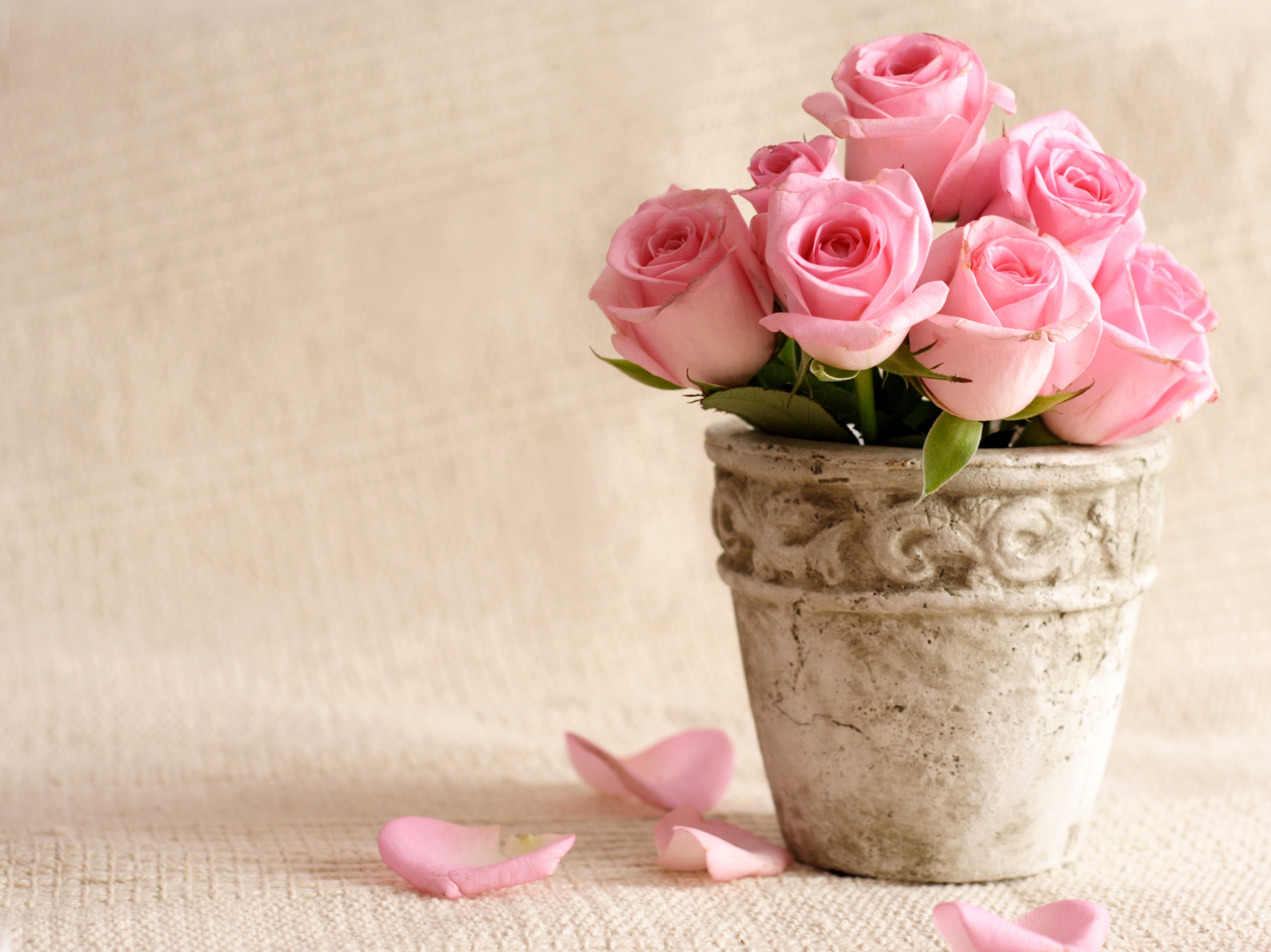 С днем рождения сестру розу. Букет цветов «день рождение». Поздравления с днём рождения Марине. Открытки с цветами с днем рождения женщине. Красивый букет цветов для женщины с днем рождения.