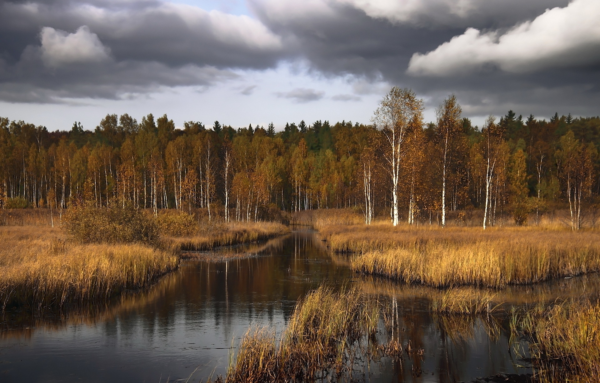 Река пасмурная. Пейзажи средней полосы России. Осень в России. Осенний пейзаж. Поздняя осень в России.