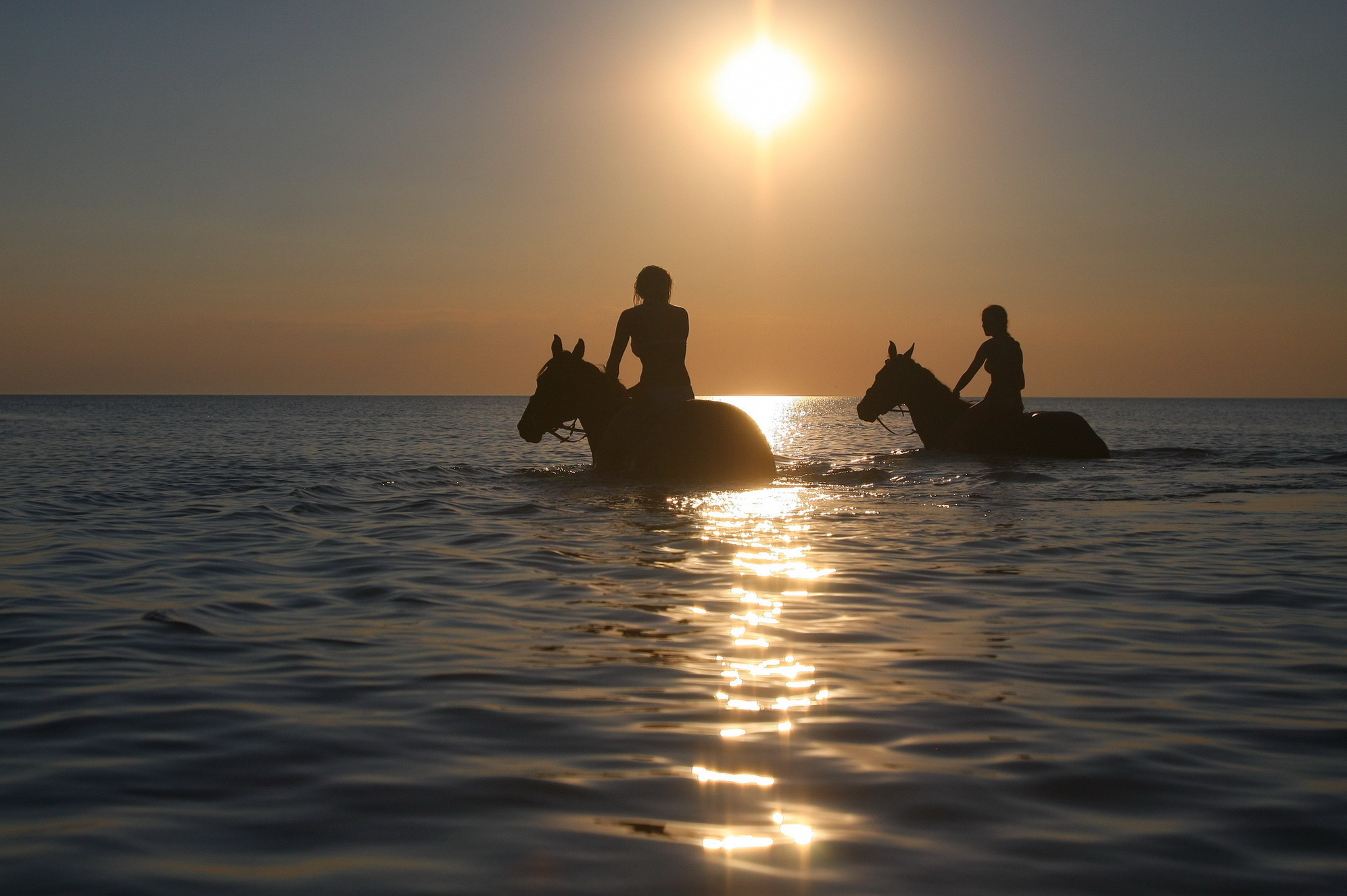 Лошади в море на закате