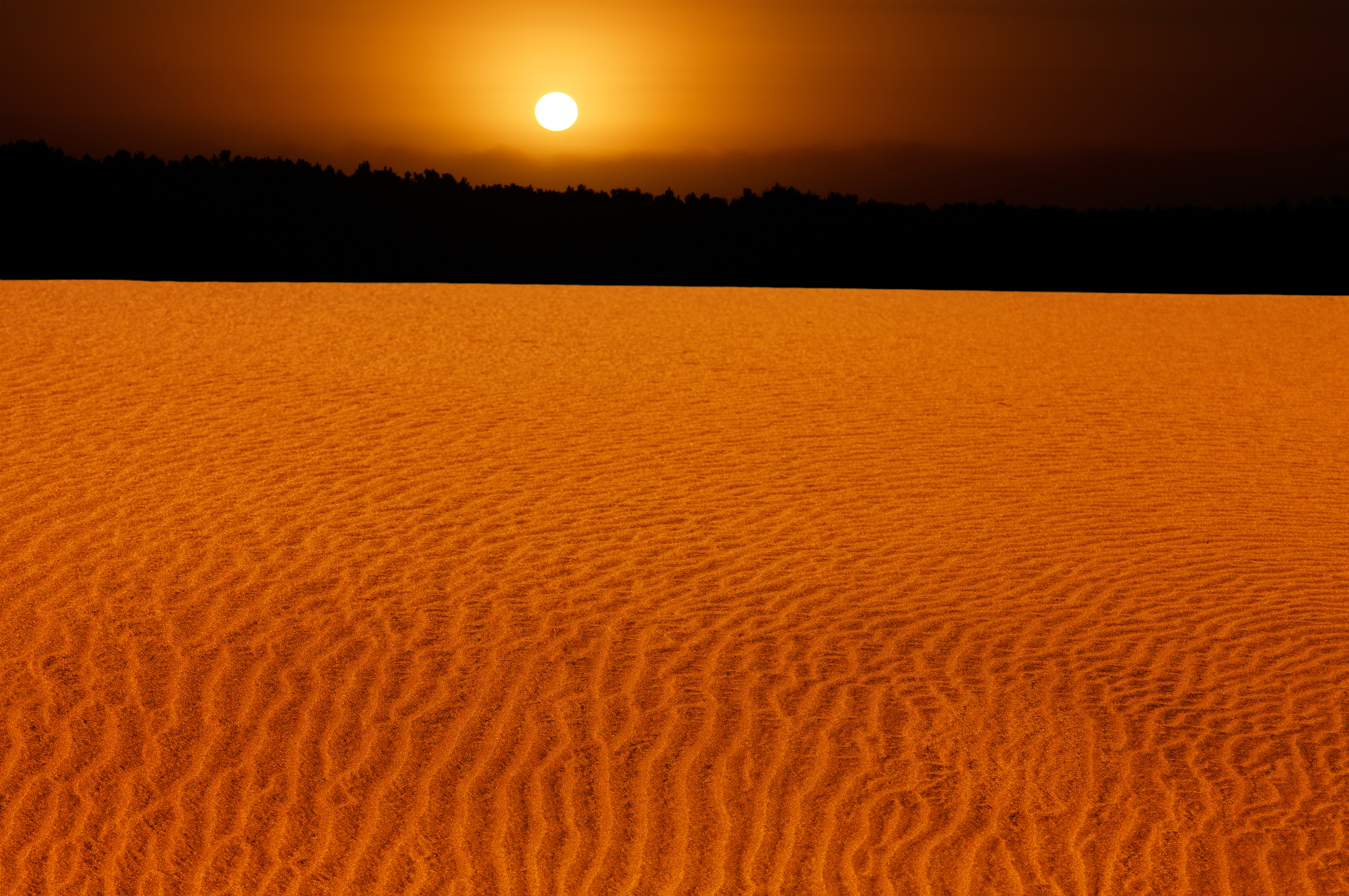 Неживая природа в пустыне. Пустыня. Оранжевая пустыня. Пустыня с оранжевым песком. Закат в пустыне.