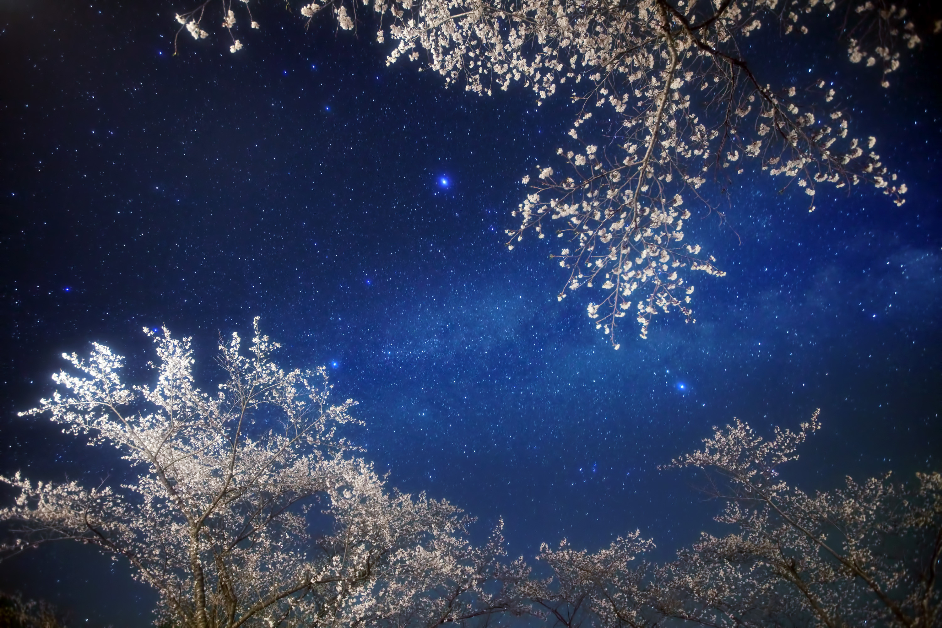 Звезды словно огоньки. Ночное небо. Звездное небо. Зимнее звездное небо. Зимнее ночное небо.