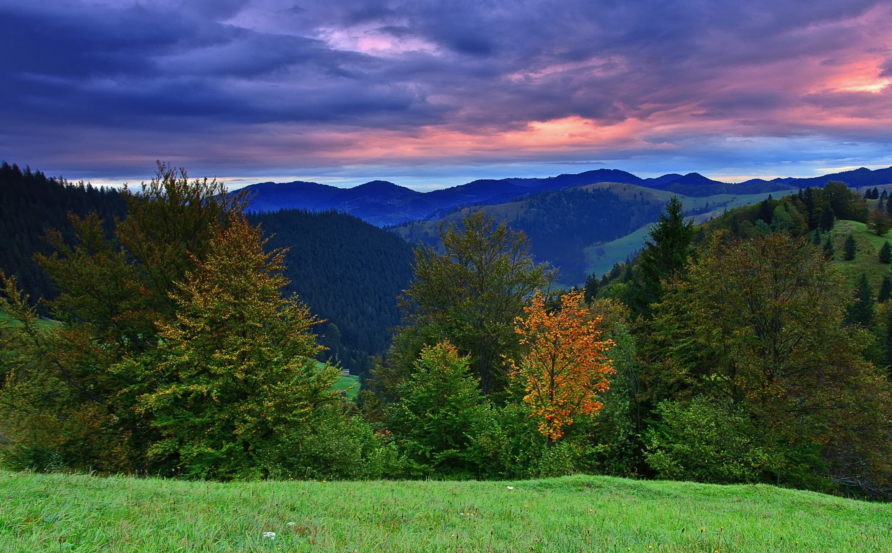 Горы поросшие лесом. Холмы Румынии. Румыния Карпаты Трансильвания. Природа. Пейзаж.