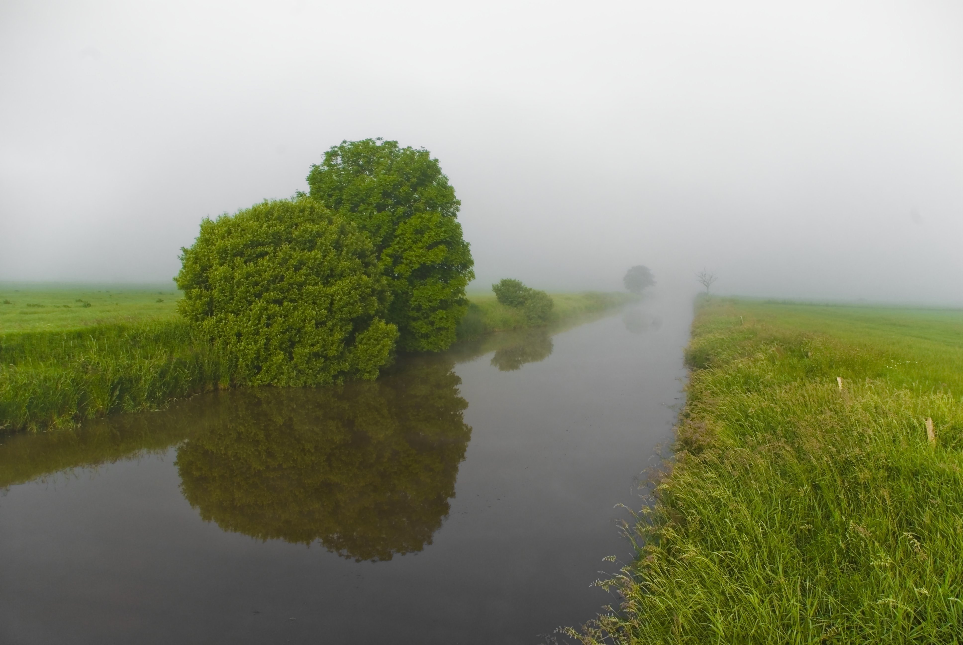Реки леса океаны леса и поля. Зеленый берег реки. Лето речка. Лето туман природа река. Туманное утро картинки.