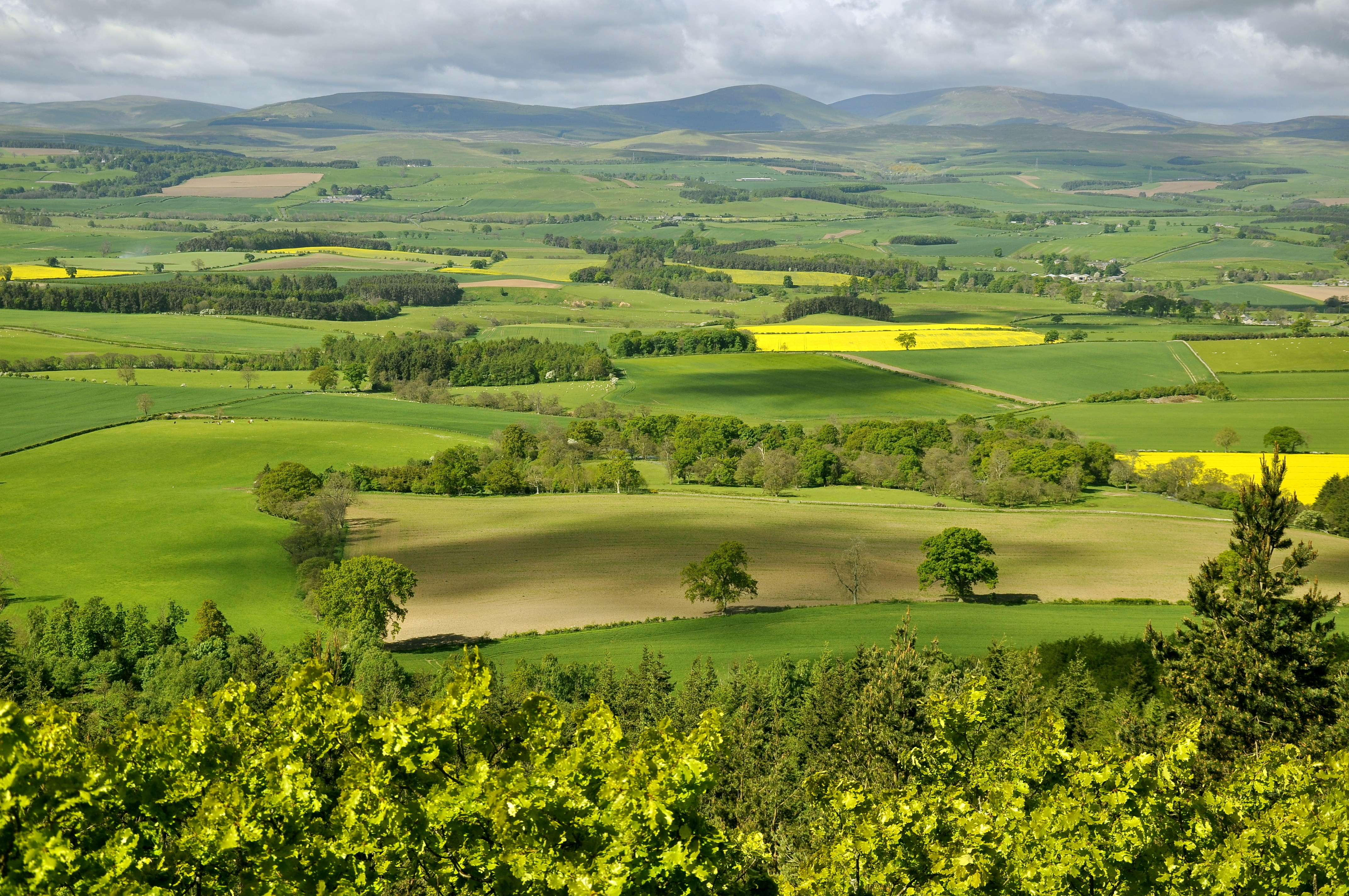 Природный ландшафт. Долина Англия поле. Зеленые холмы Англии. Долина равнина. Холмистые равнины в Молдове.