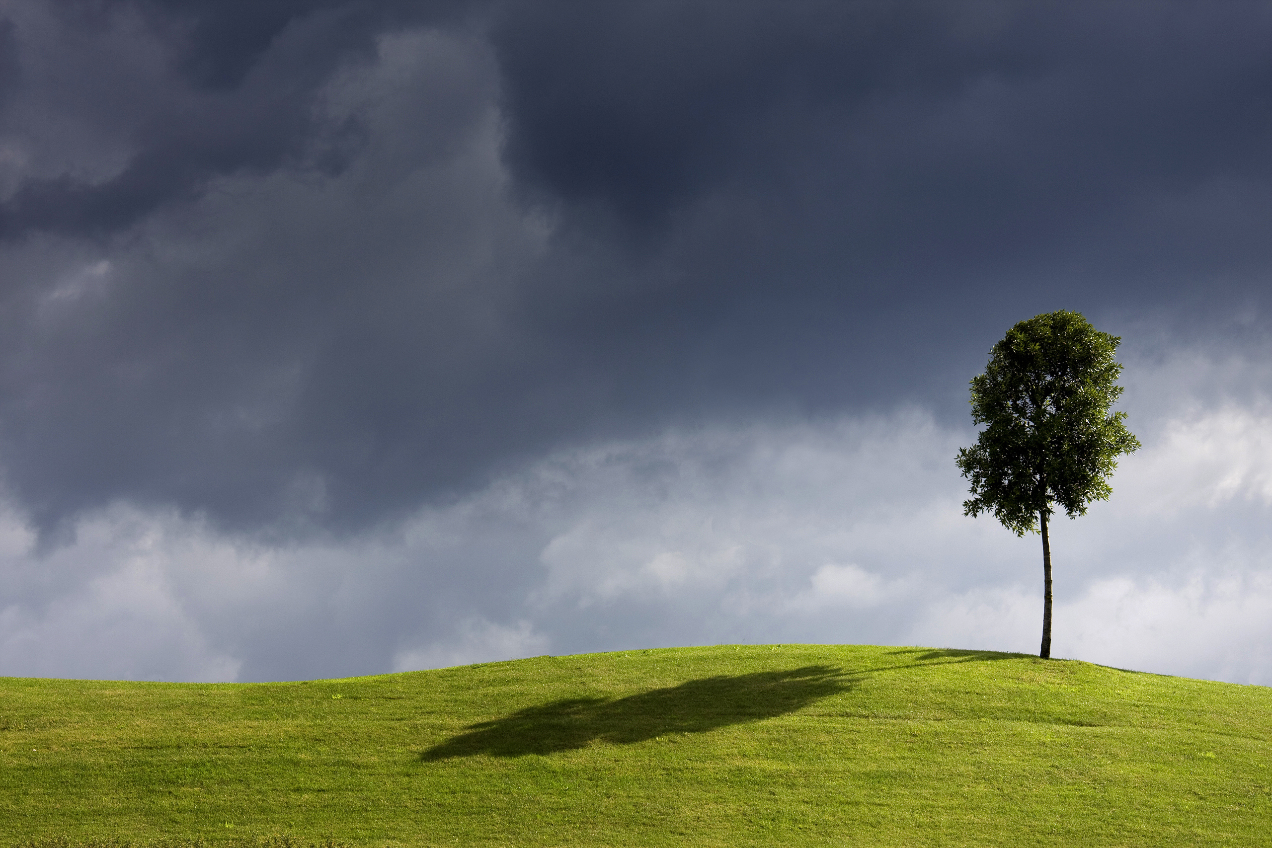 Одинокий холм. Минимализм природа. Одинокое дерево на Холме. Пейзаж Минимализм. Одинокое дерево в поле.