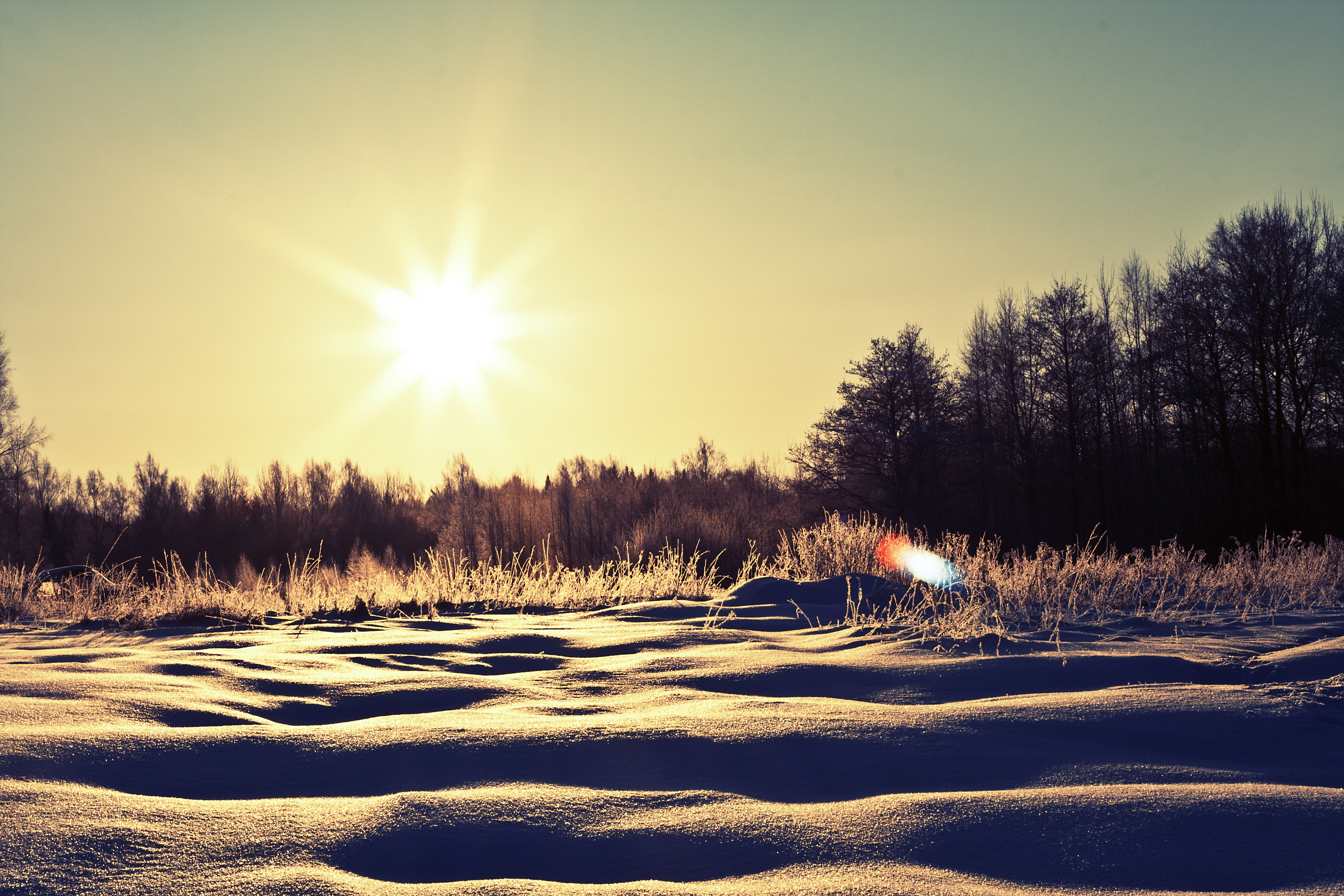 Красивое солнце зима. Солнце зимой. Снег и солнце. Зимний рассвет.