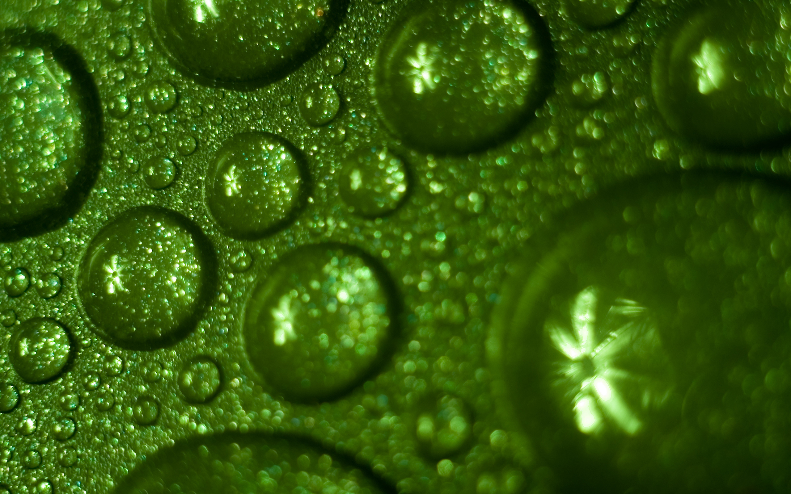 К чему снится зеленая вода. Зеленые обои. Капли воды. Зеленый цвет. Зеленые капли.