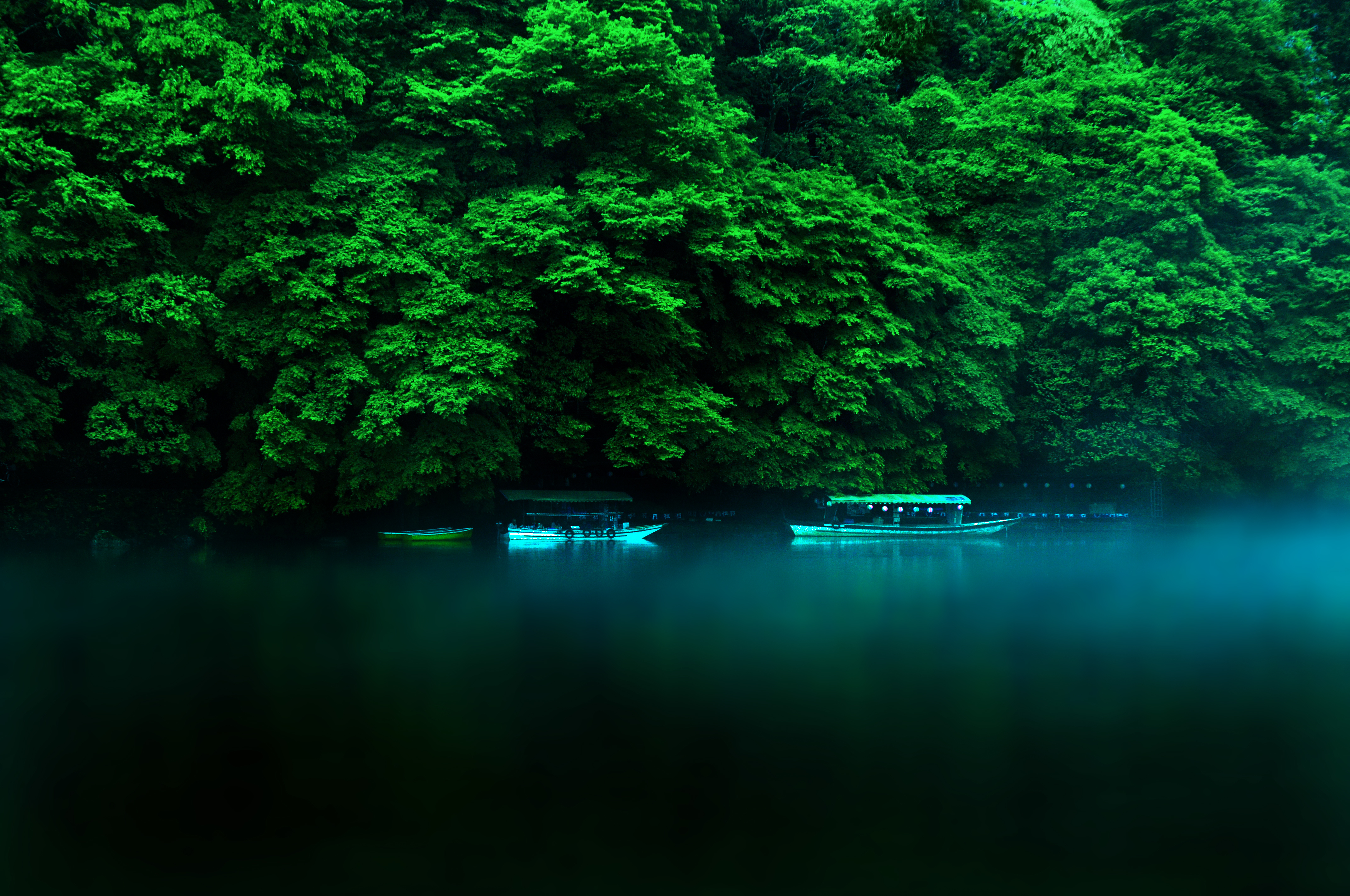 Спокойные темы. Зеленая природа. Красивая зеленая природа. Природа Японии. Изумрудный цвет в природе.