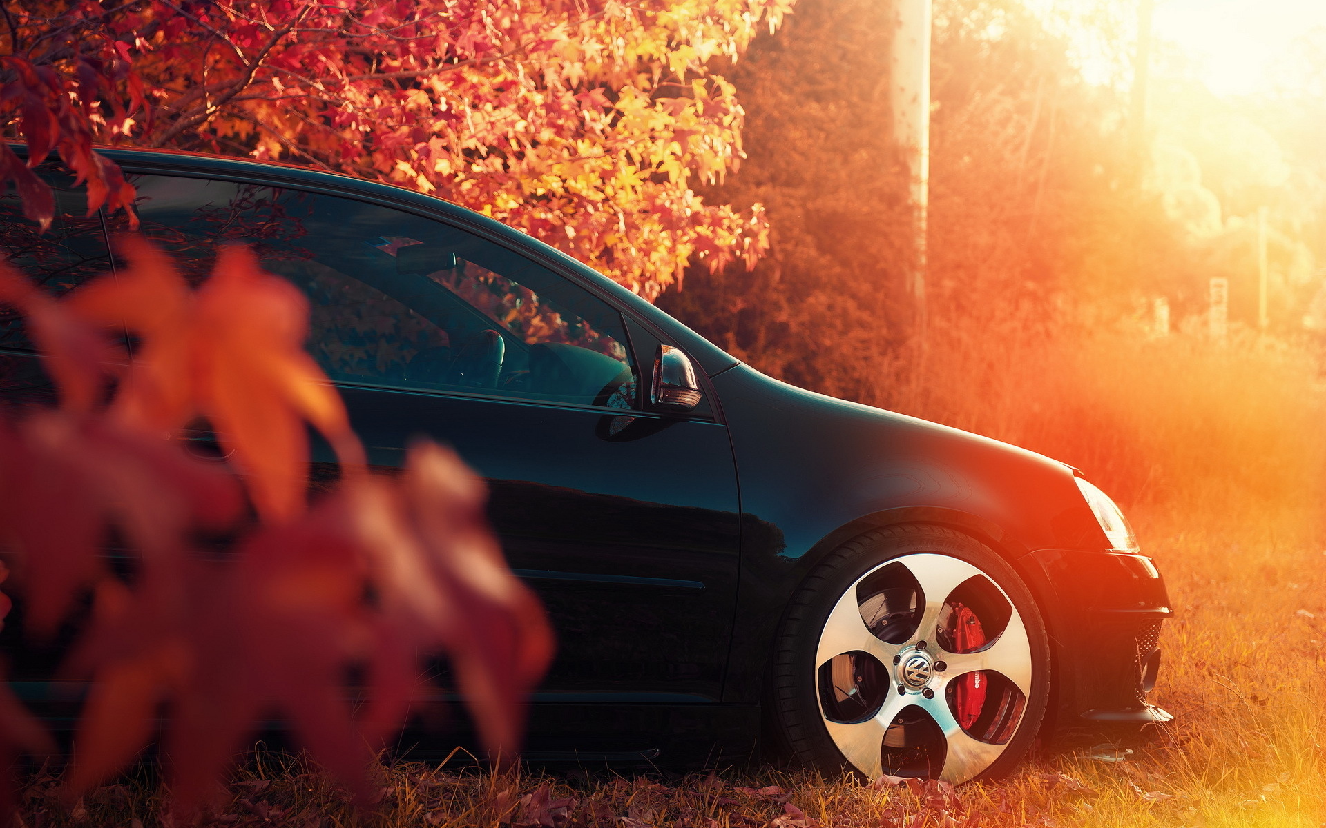 О д т цветших. Машина осенью. Авто осень. Машина в осенних листьях. Авто на фоне осени.