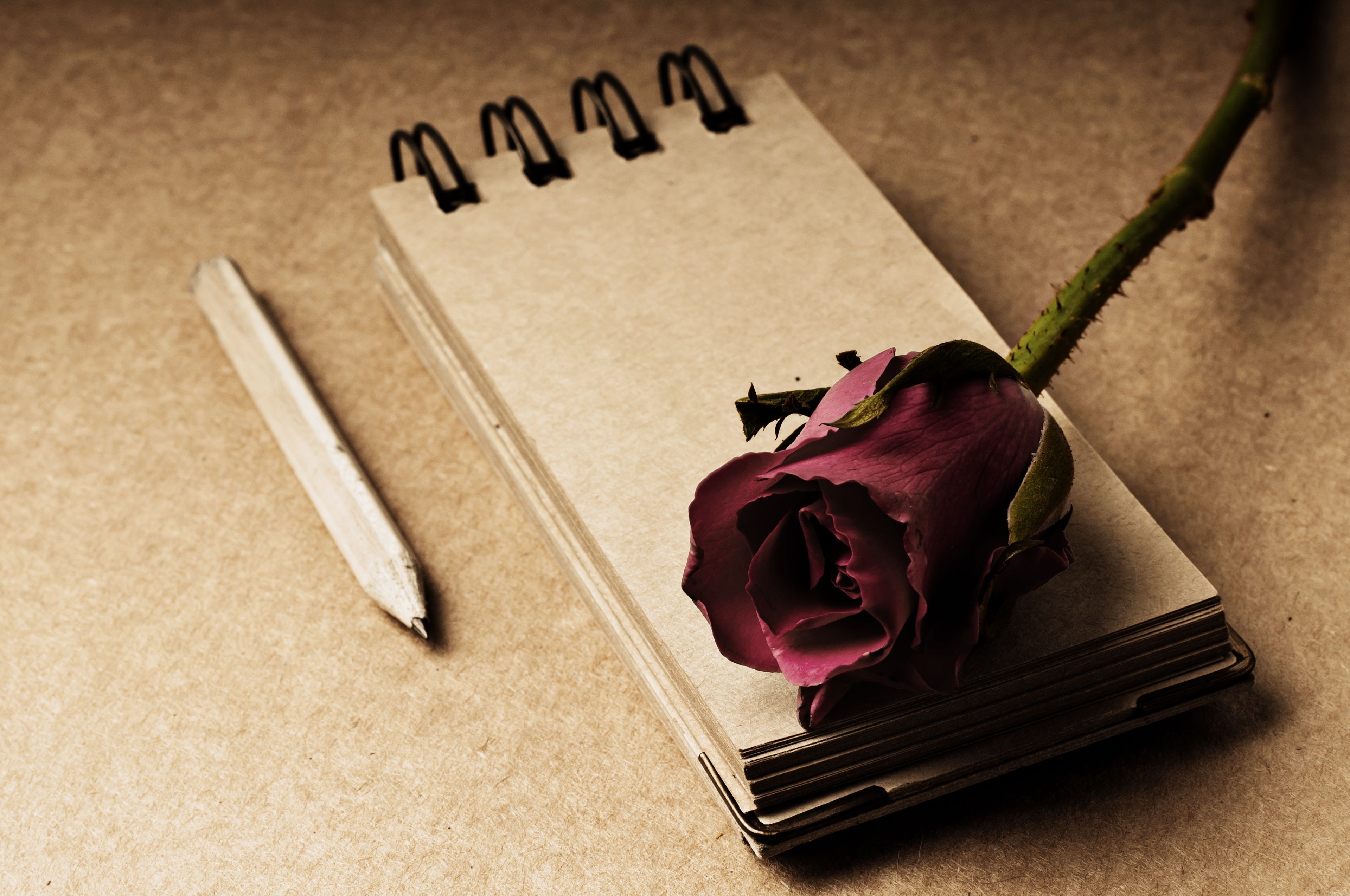 Поэзия вход. Поэзия картинки. Книга цветы. Цветы лежат на столе. Блокнот на столе.