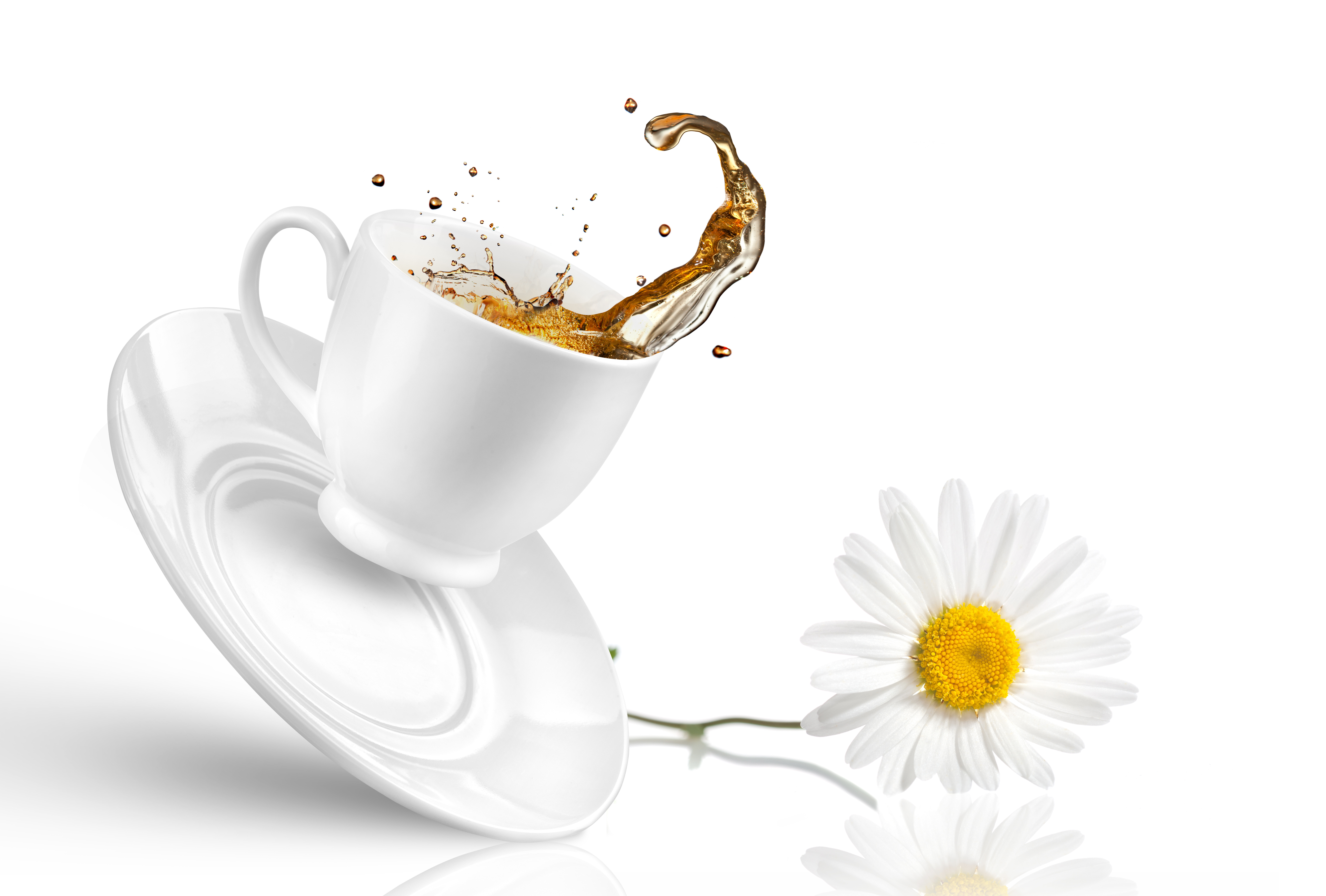 Доброго воскресного утра смешные. Чашка кофе на Светлом фоне. Чай на белом фоне. Доброе утро воскресенье прикольные. С добрым утром воскресенья прикольные.
