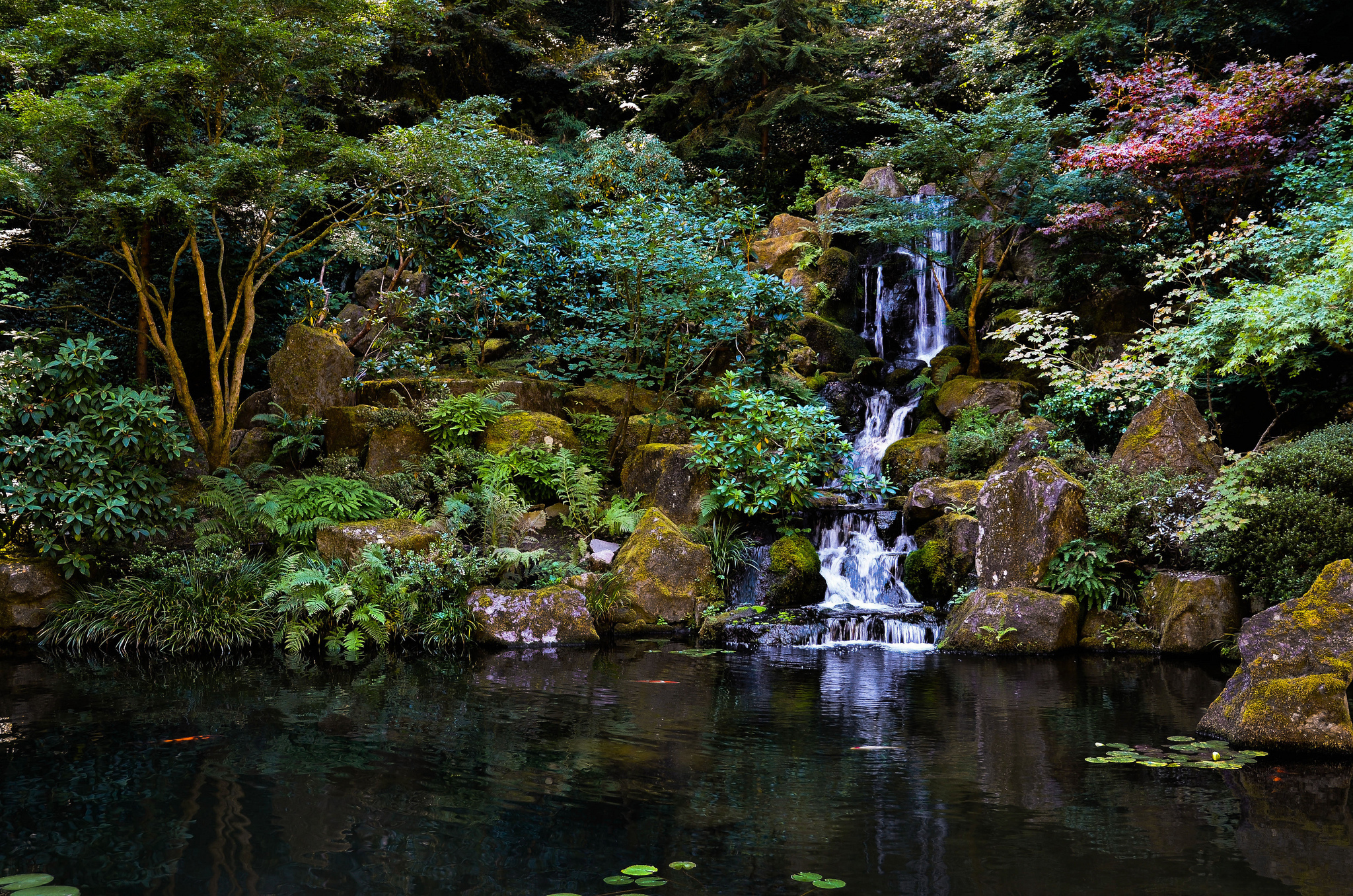 Обои японский сад, водопад, камни, пруд, деревья, japanese garden на рабочи...