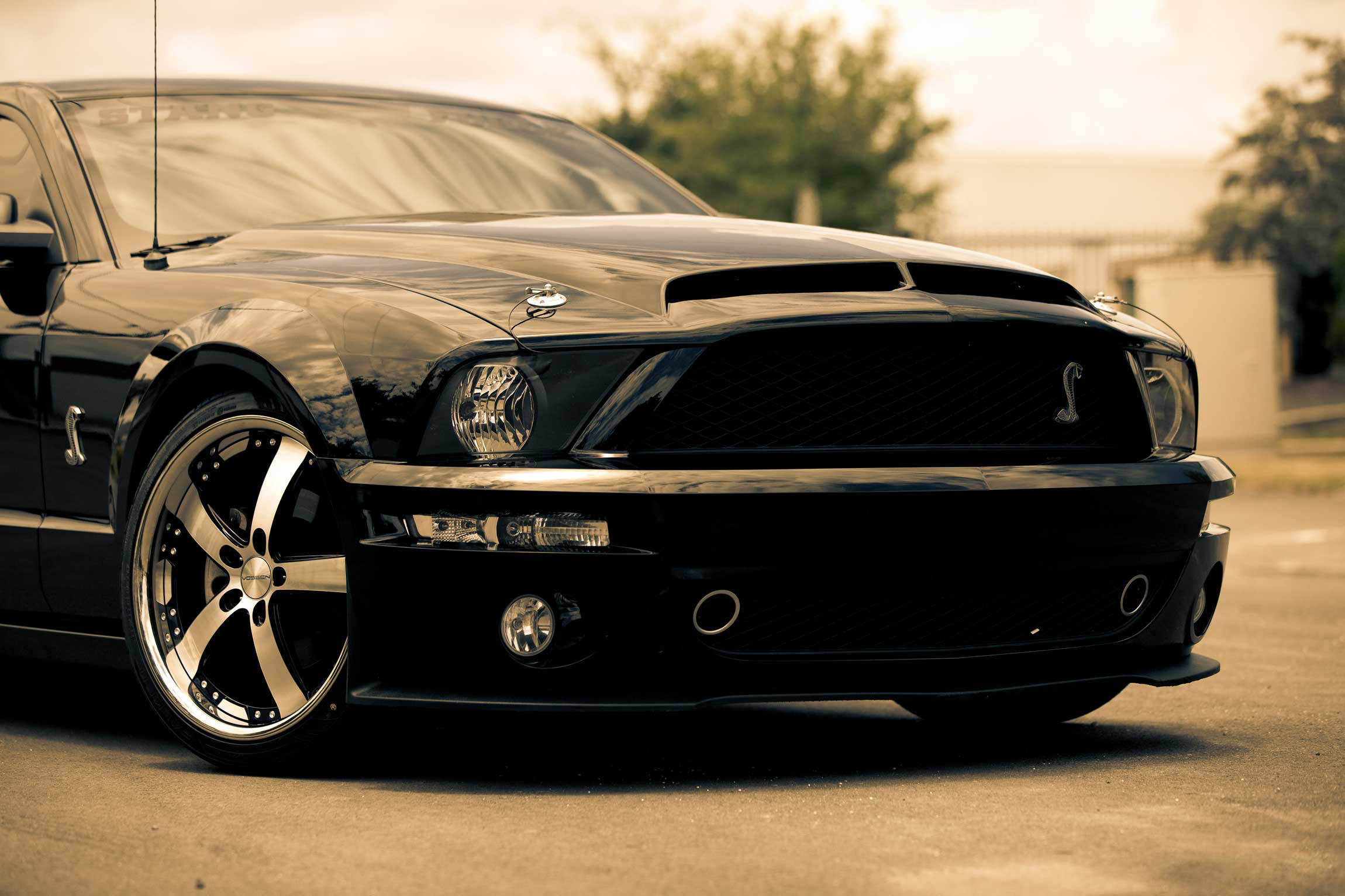 Ford Mustang gt 500 Shelby черный
