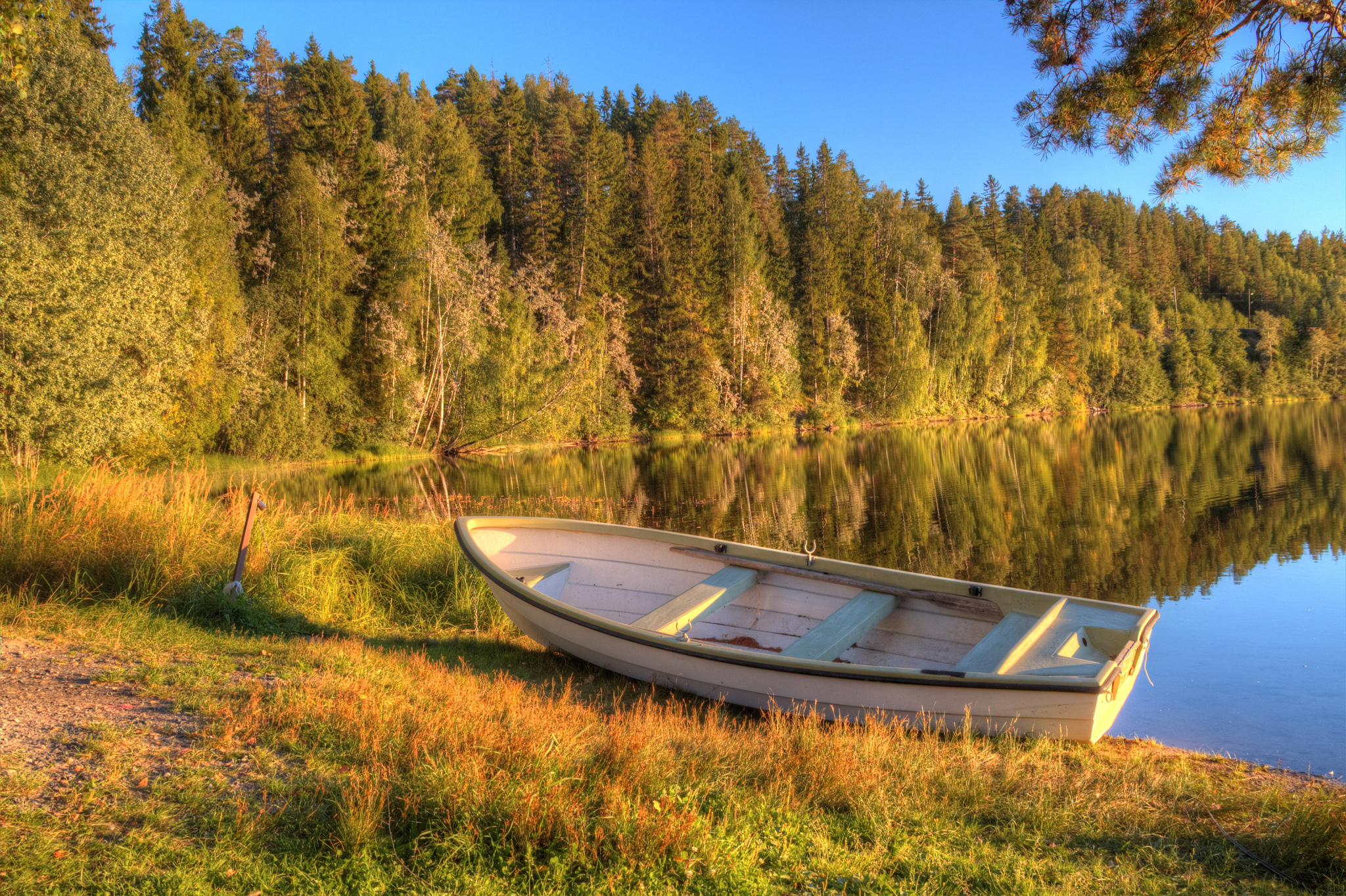 Хорошо гулять по берегу лесного озера. Лодка на реке. Берег озера. Лодка на озере. Озеро в лесу.