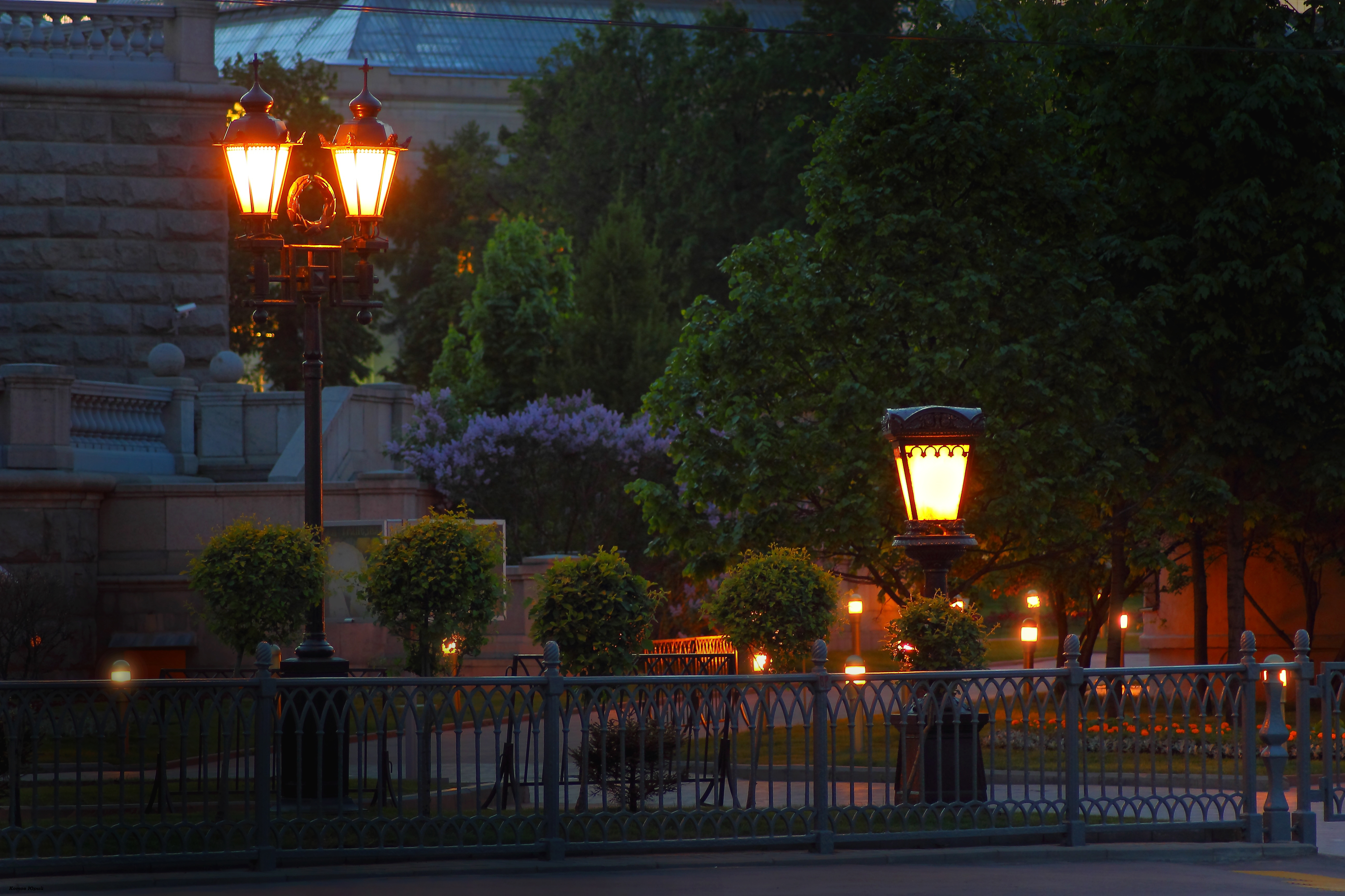 Вечер улица фонарь. Ночной парк. Летний вечер в городе. Вечерняя улица с фонарями. Фонари на улицах города.