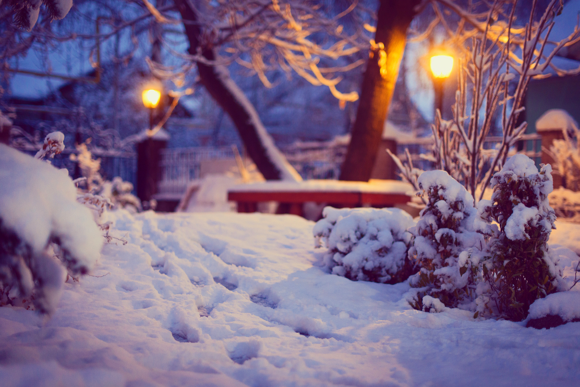 Теплая снежная зима. Зима снег. Зима атмосфера. Зимние обои на рабочий стол. Красивый снег.
