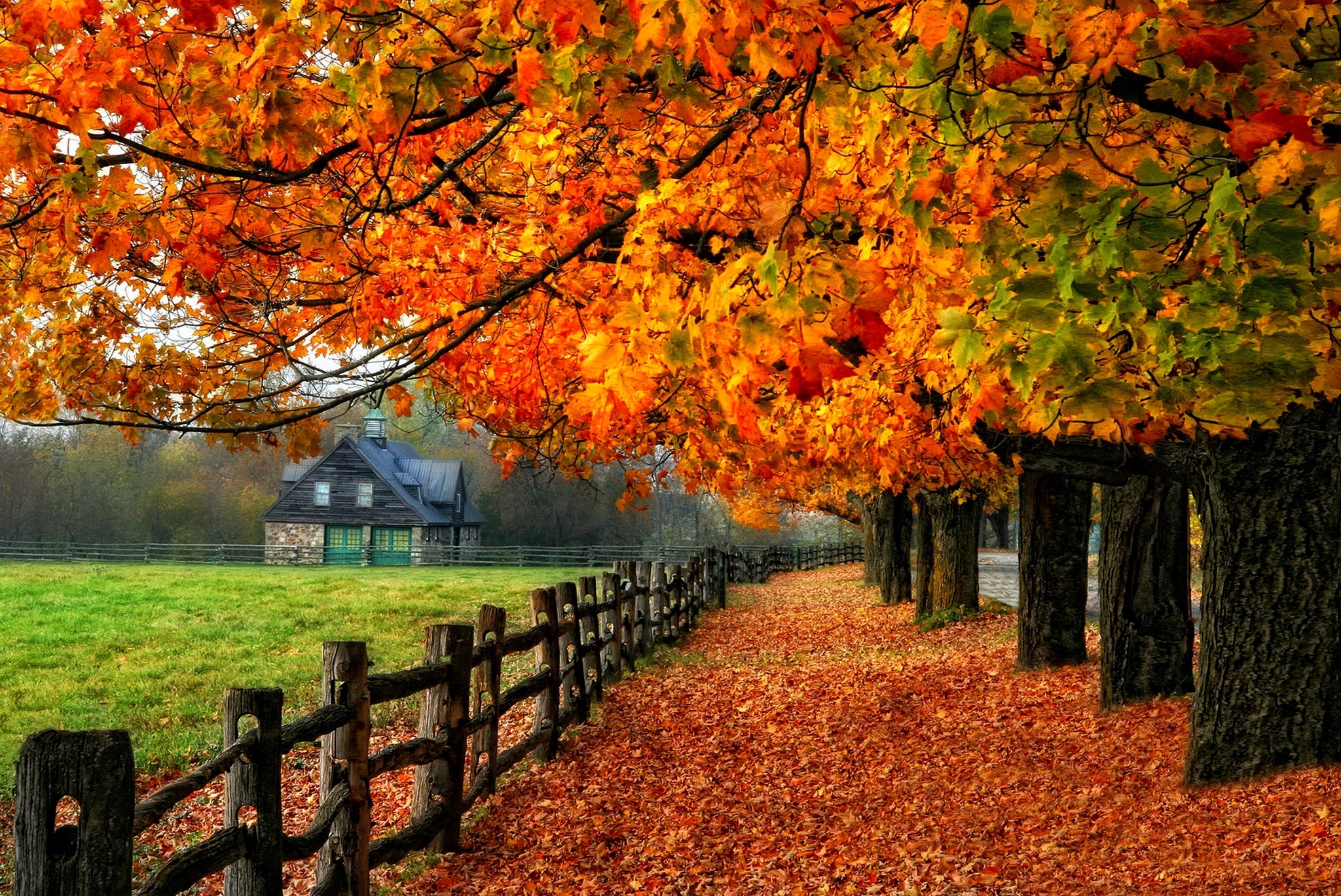 Fall отзывы. Красивая осень. Природа осень. Прекрасная осень. Осенот.