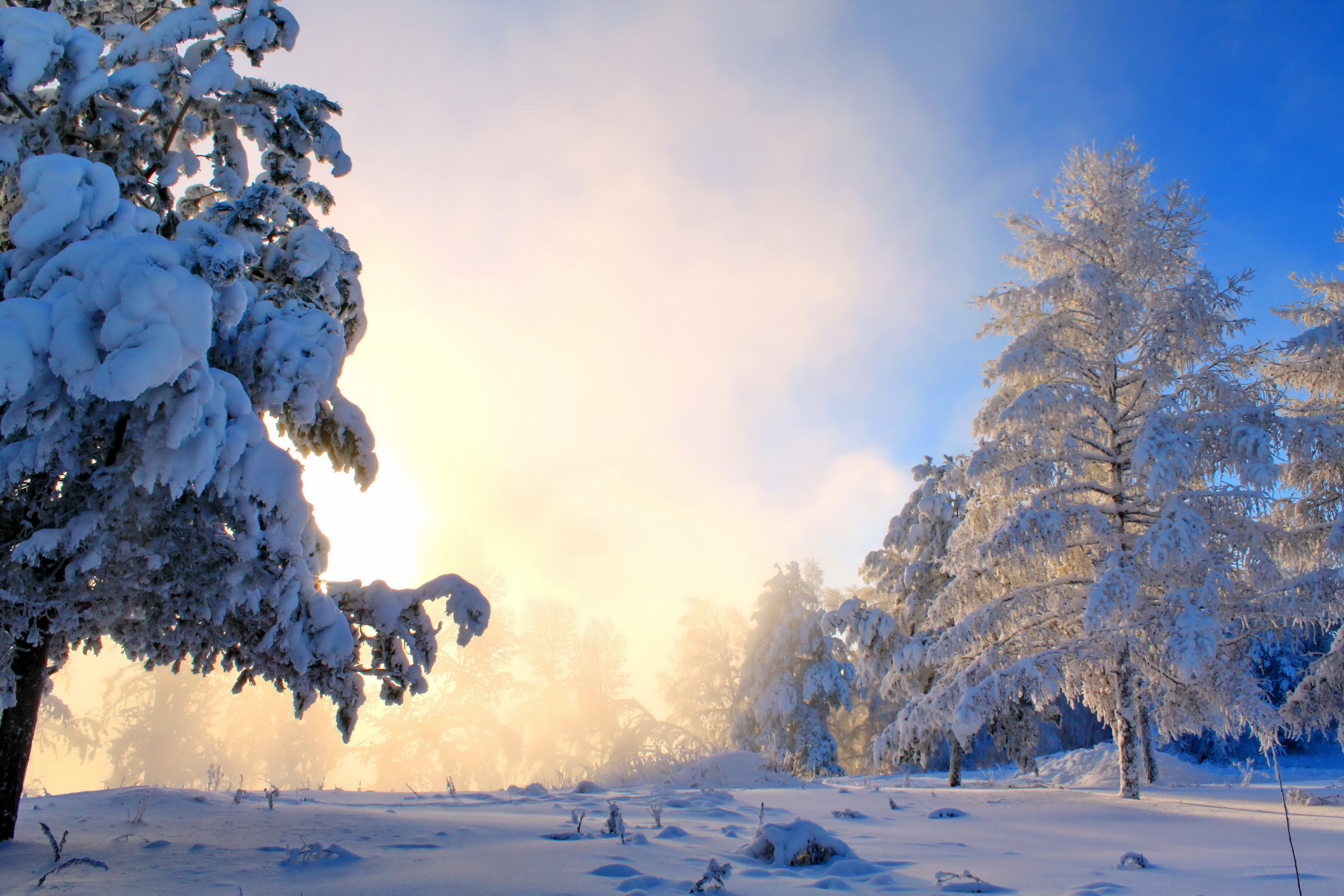Зимнее снежное день. Зимний пейзаж. Зимняя природа. Красивая зима. Пейзаж зимнего леса.