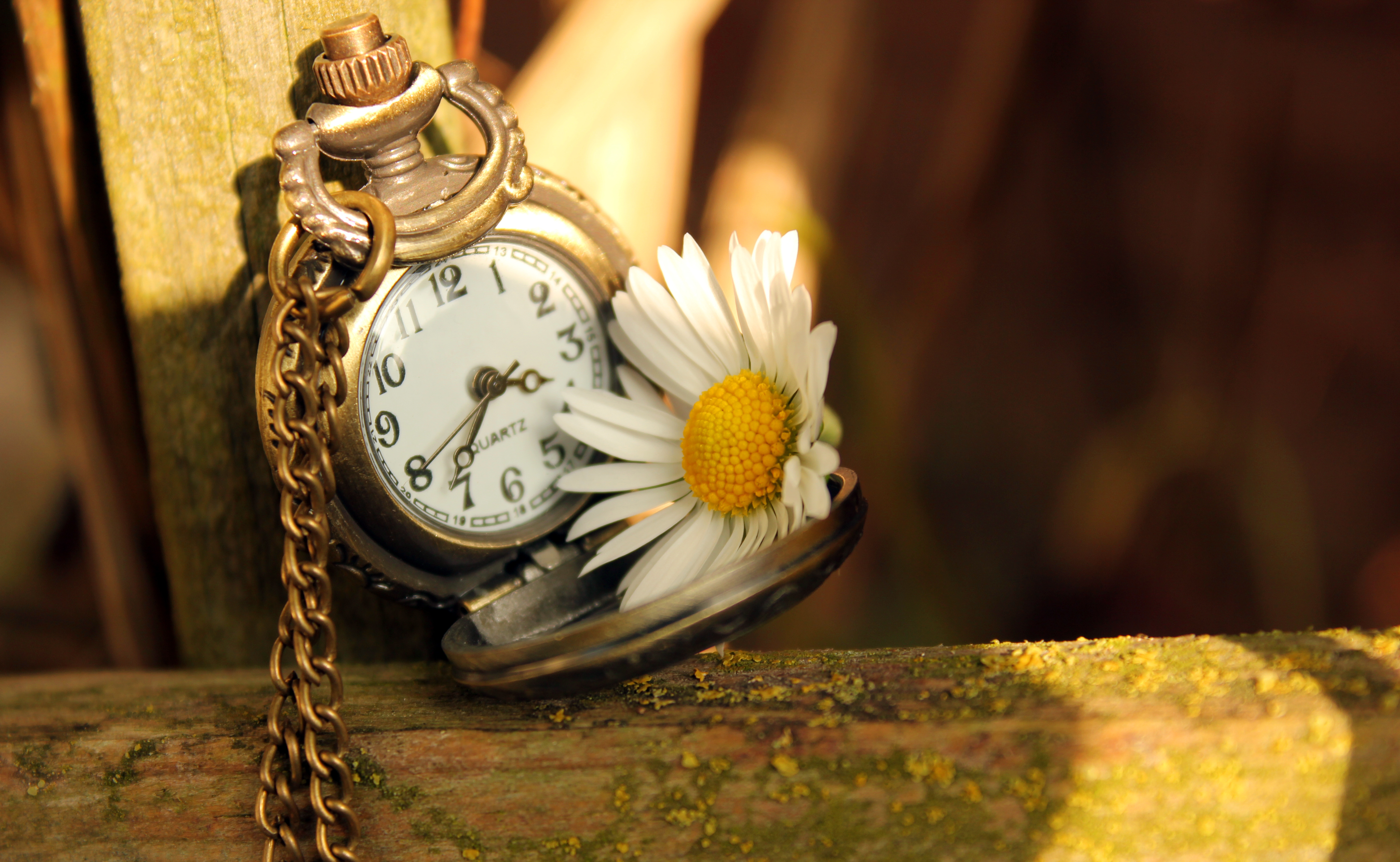 Время меняться обои. Часы "цветок". Быстротечность времени. Быстротечность жизни. Воспоминания с часами.