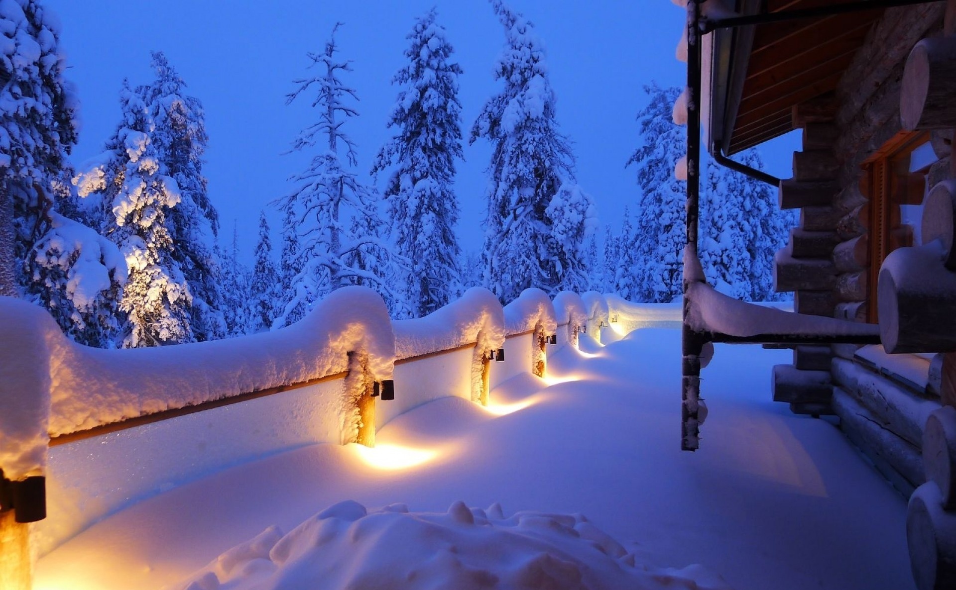 Обои природа, зима, ель, новый год, 2015, снег, огоньки на рабочий стол. 